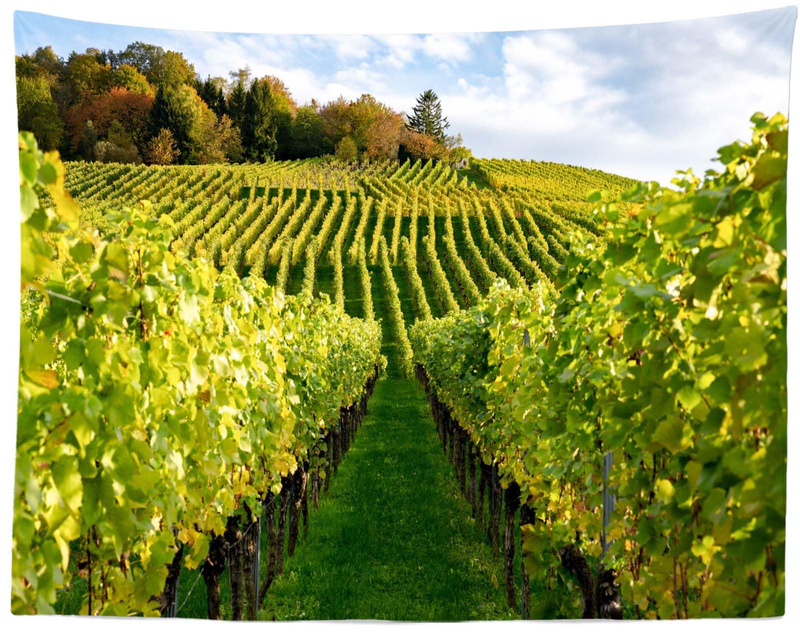 3x2.5m Toile de Fond de vignoble d'automne,vignes Vertes,arrière-Plan de Photographie,vignes de Campagne,Paysage de vignoble,décor de fête de récolte,Accessoires de Studio Photo de Portrait