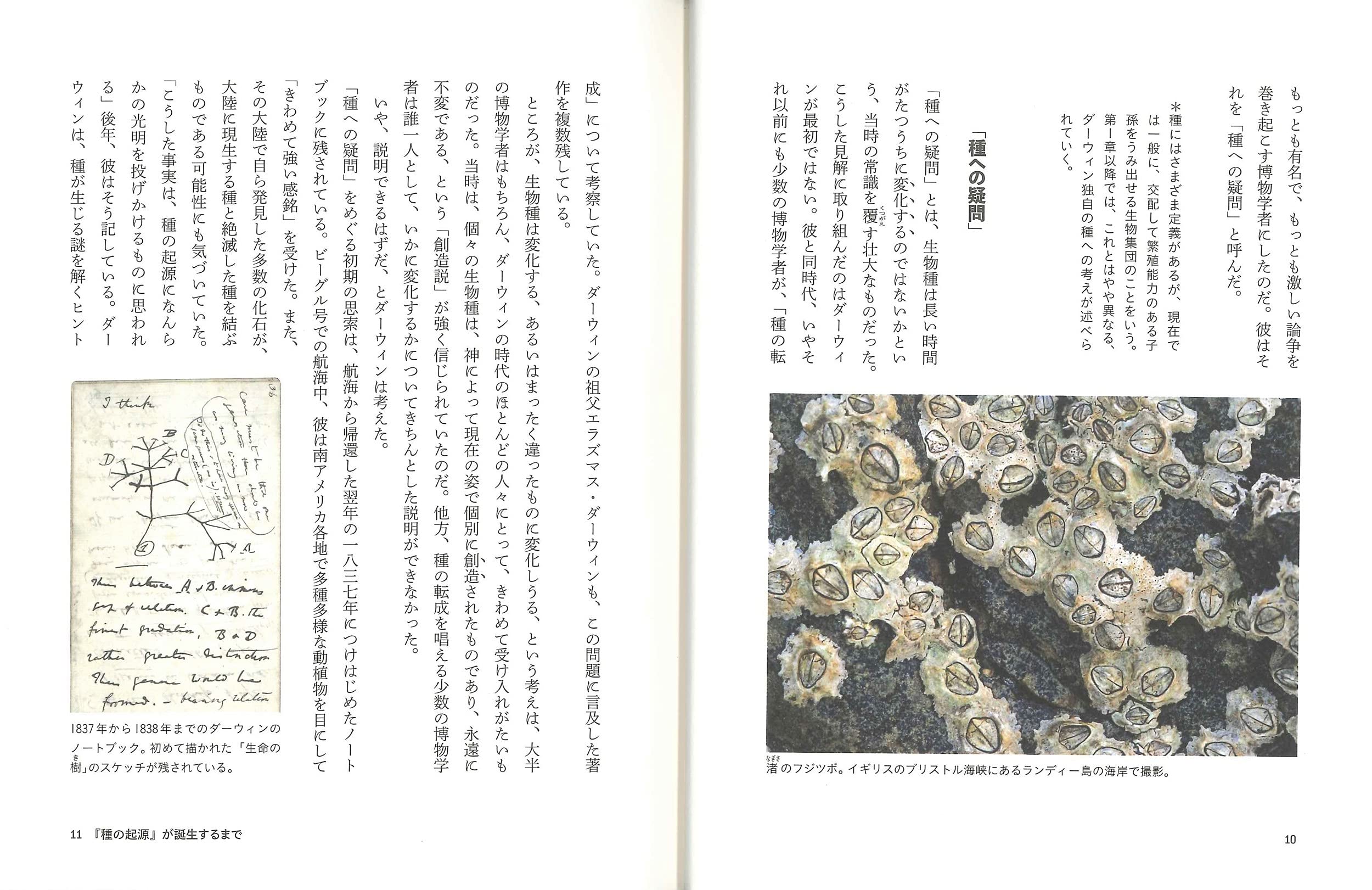 若い読者のための 種の起源 チャールズ ダーウィン レベッカ ステフォフ 鳥見 真生 本 通販 Amazon