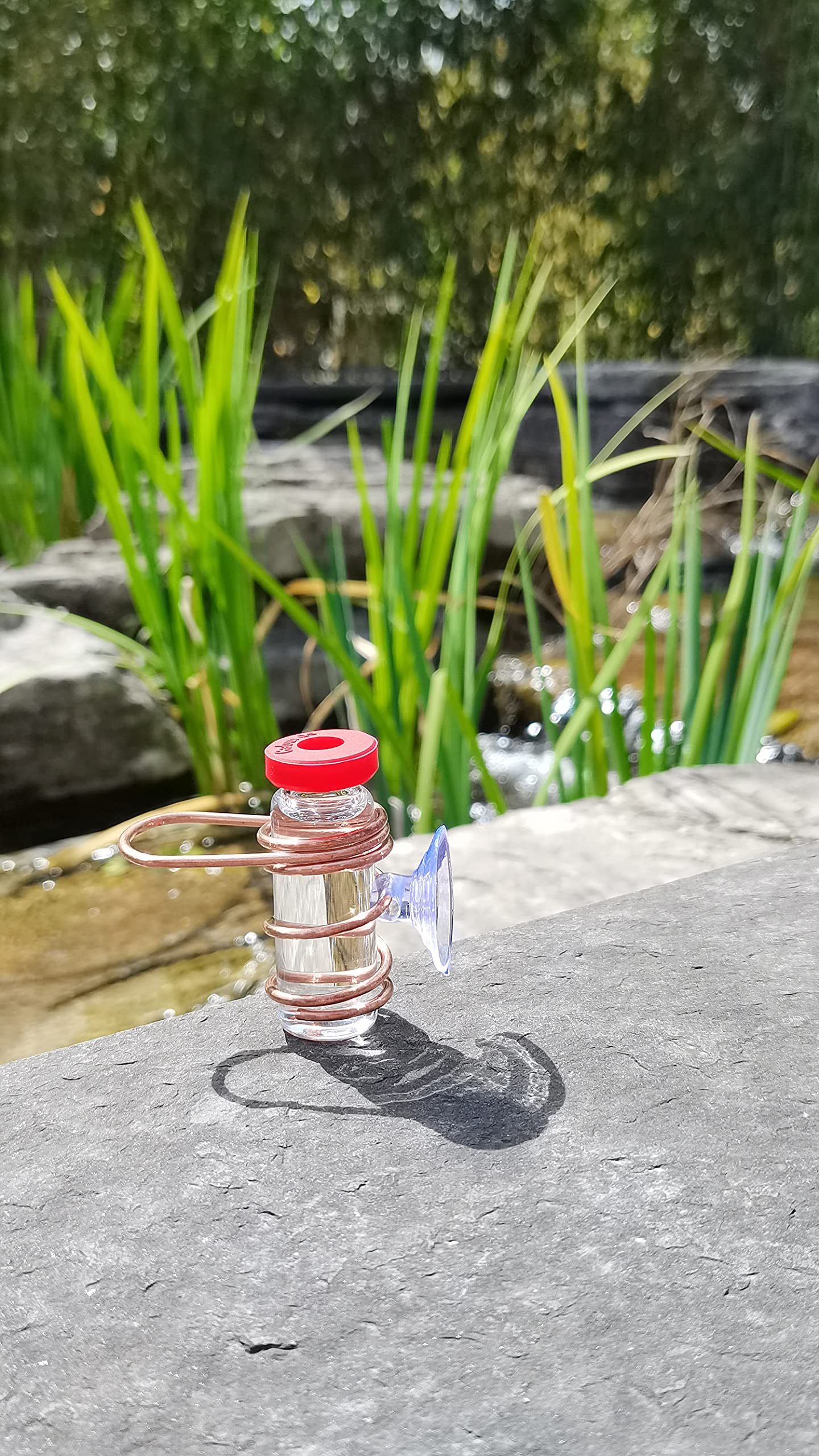 IBorn Kolibri-Futterstation Aus Glas – Mit 8 Futterschlitzen, 473 Ml Fassungsvermögen, Robuste Rote Abdeckung, Ideal Für Garten Und Balkon