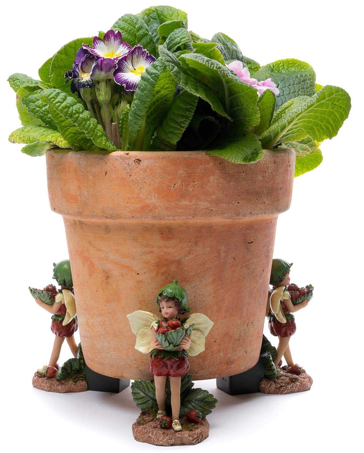Potty Feet Plant Pot TrioStrawberry Fairy from B&Q