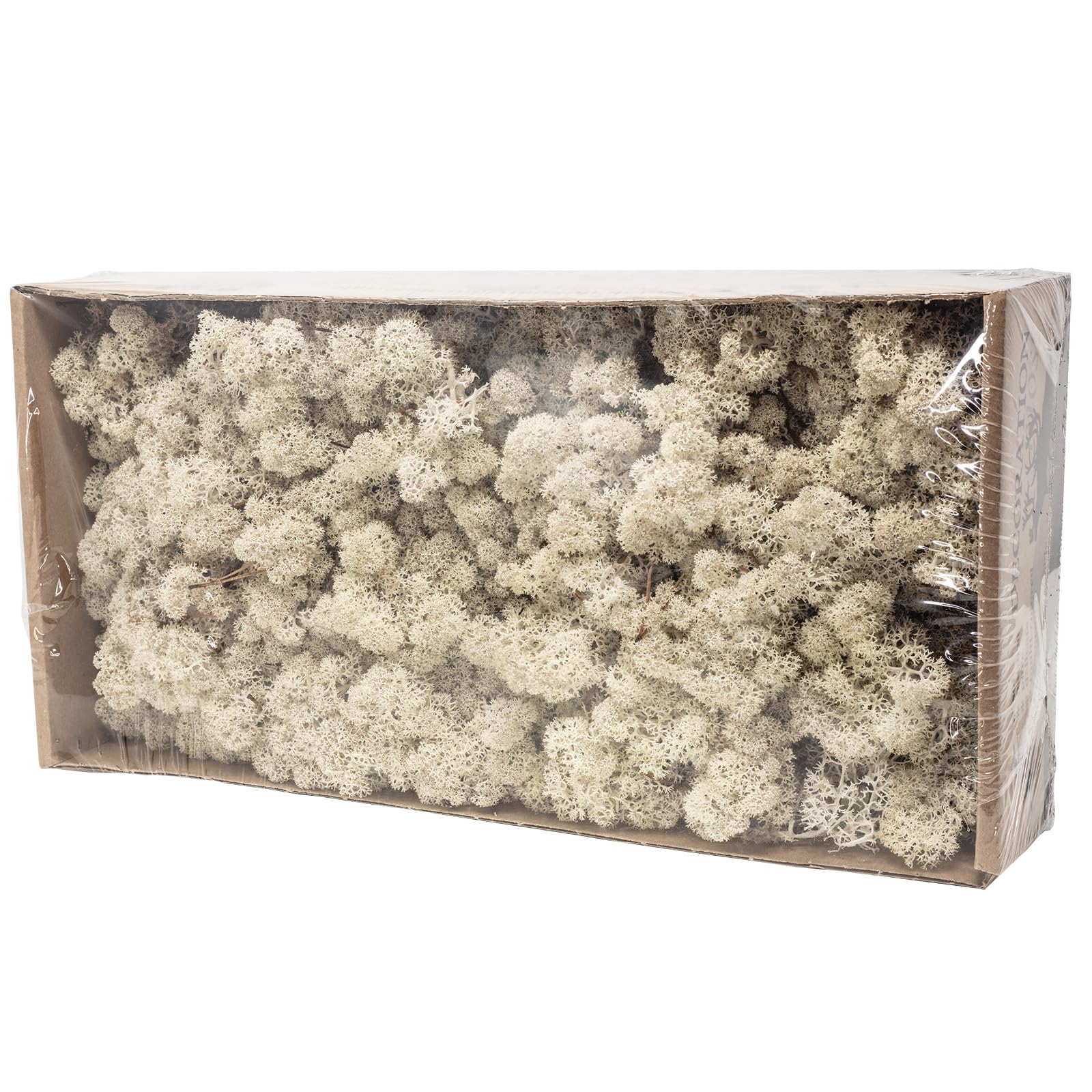 Cartone di muschio islandese naturale, 500 g