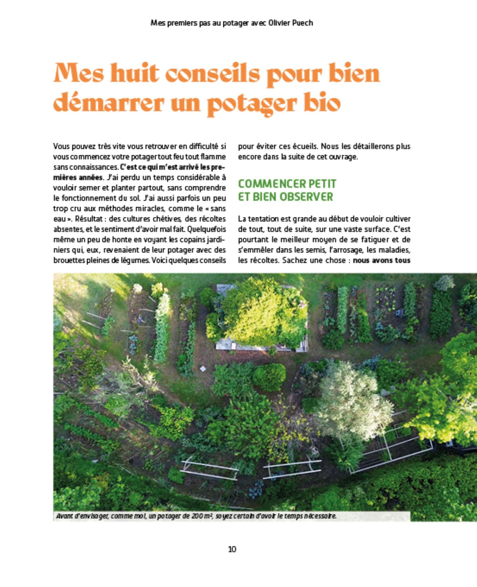 Mes premiers pas au potager avec Olivier Puech: Partage de 15 années d'expérience