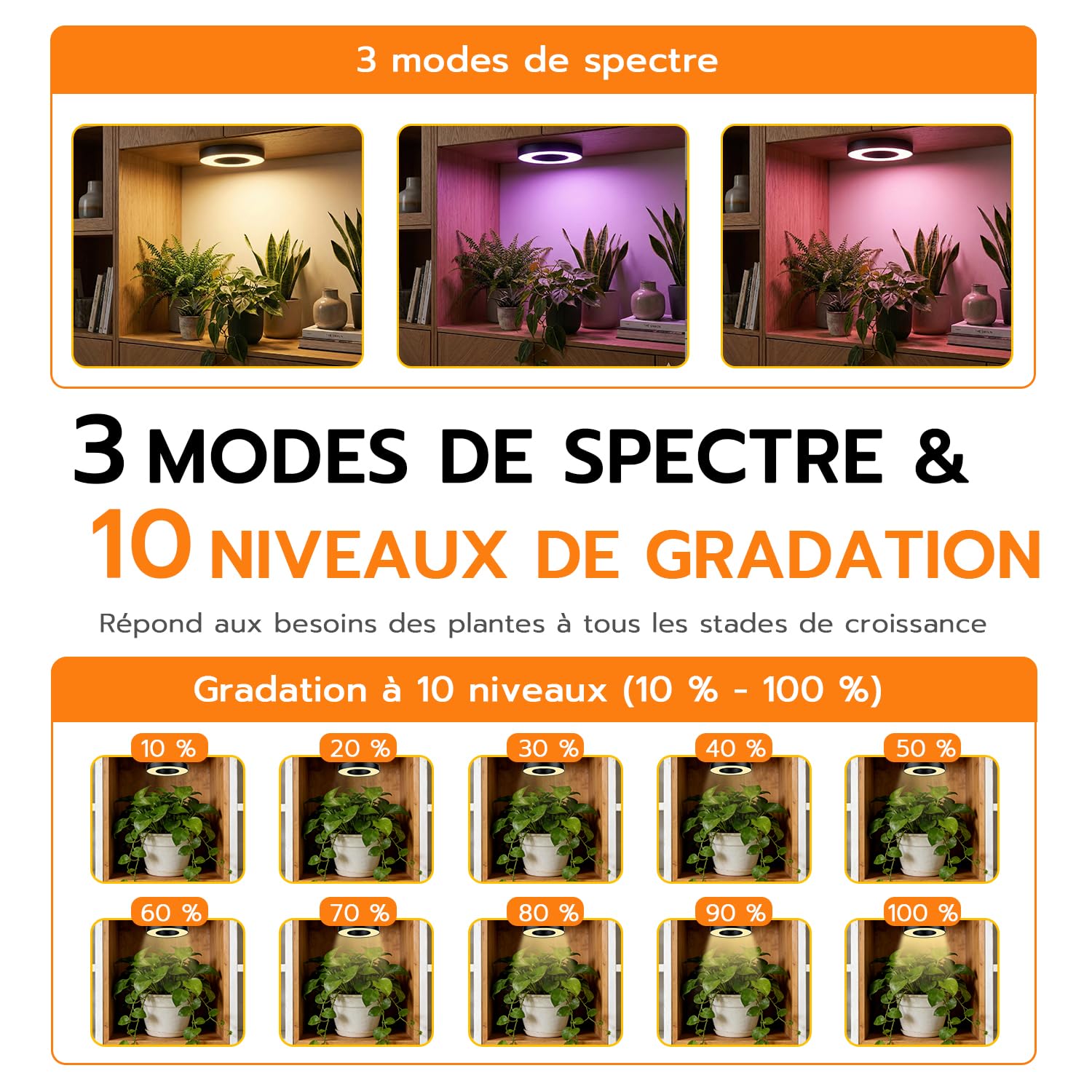 Wigearss Lámpara para Plantas, 4 Lampes LED de Croissance à Spectre Complet, Minuterie 3H/9H/12H, 3 Modes d'éclairage et 10 Niveaux de Luminosité pour Petites Plantes d'Intérieur et d'Extérieur