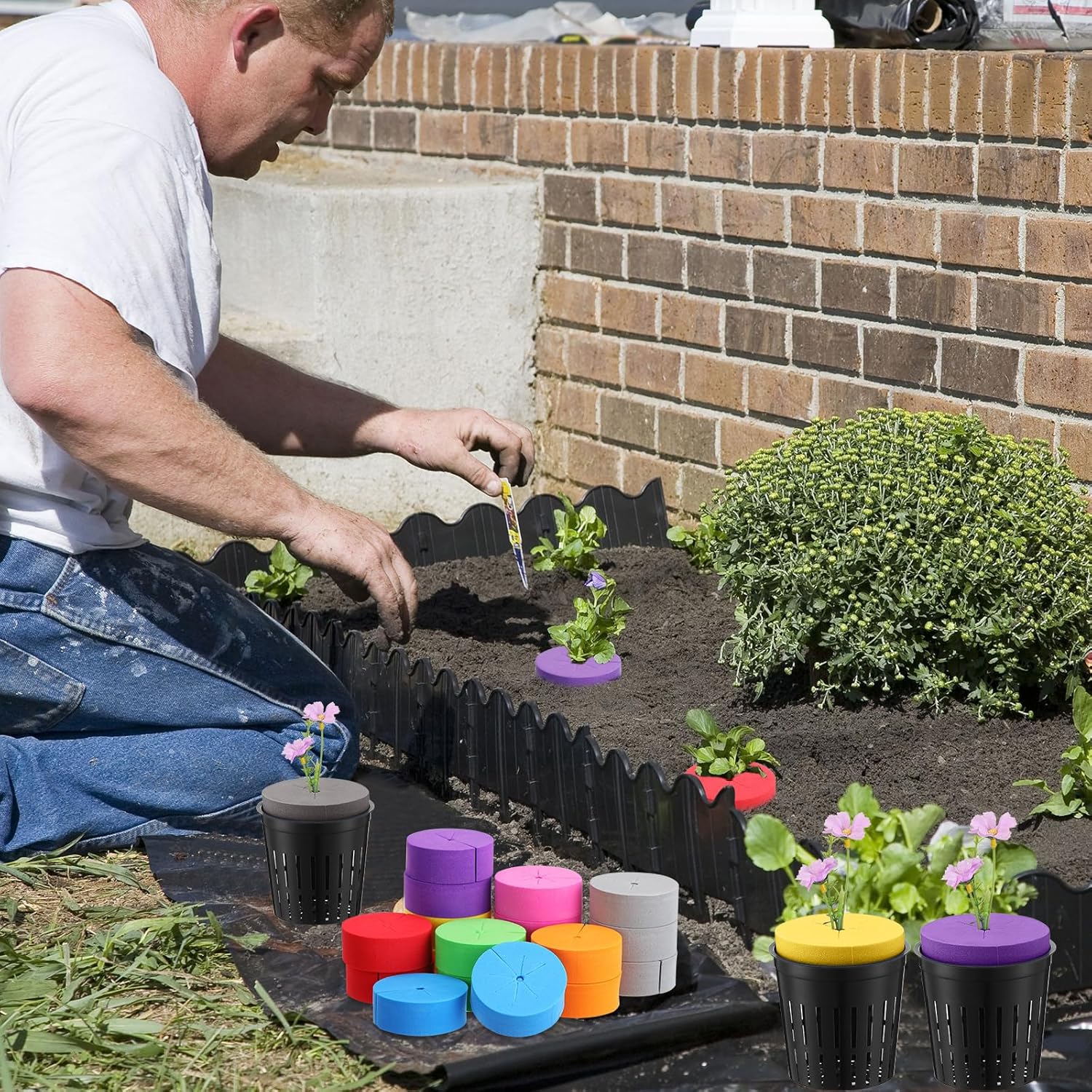 Layhit 120 Sets Clone Collars Neoprene Cloning Collar Inserts 8 Colors 2 Inch Net Pots for Hydroponics Net Cup Pots Hydroponic pots Seed Germination kit for Net Pots Hydroponics Aeroponics