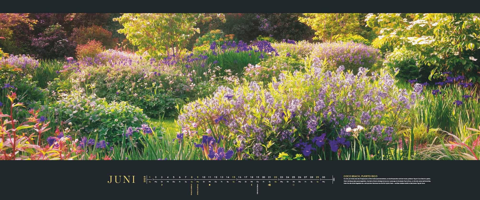 GEO Panorama 2025 - Calendario da parete con paesaggi da giardino, extra largo, 120 x 50 cm