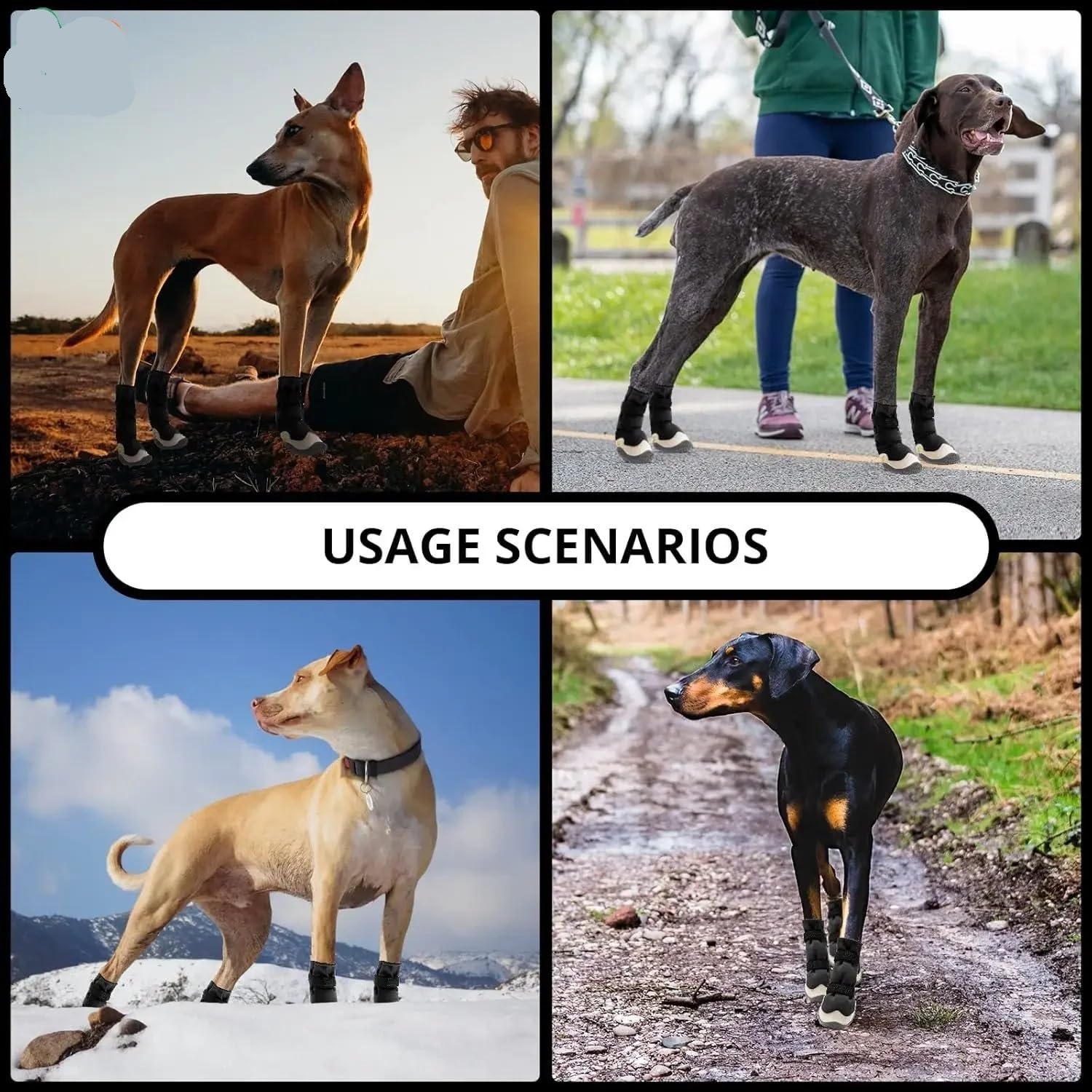 Chaussures toutes saisons pour chien – Imperméables et antidérapantes pour les jours chauds, pluvieux et neigeux (taille 7-8 x 7 cm)