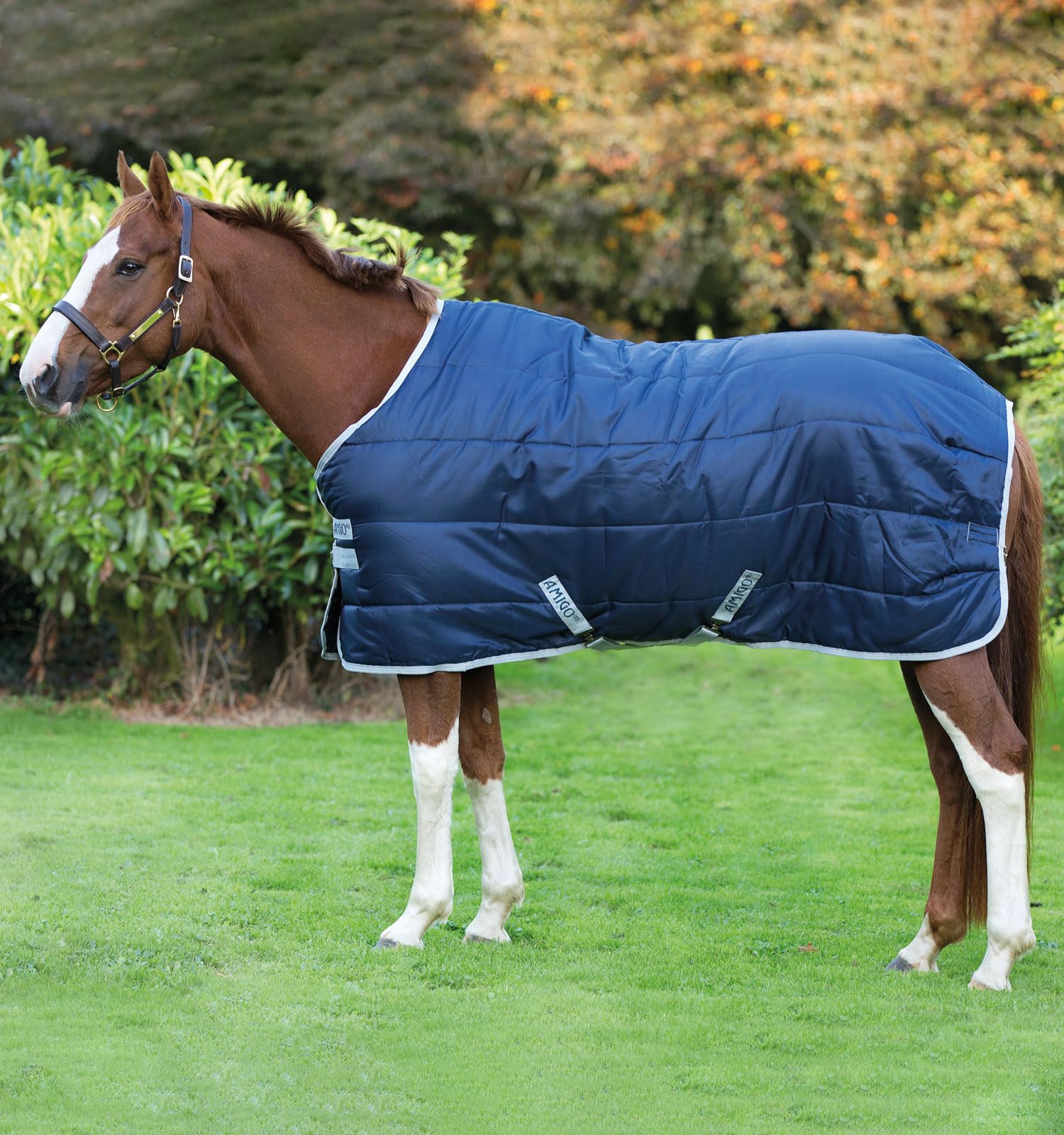 Horseware Stalldecke Amigo Insulator medium 200g- navy/silver
