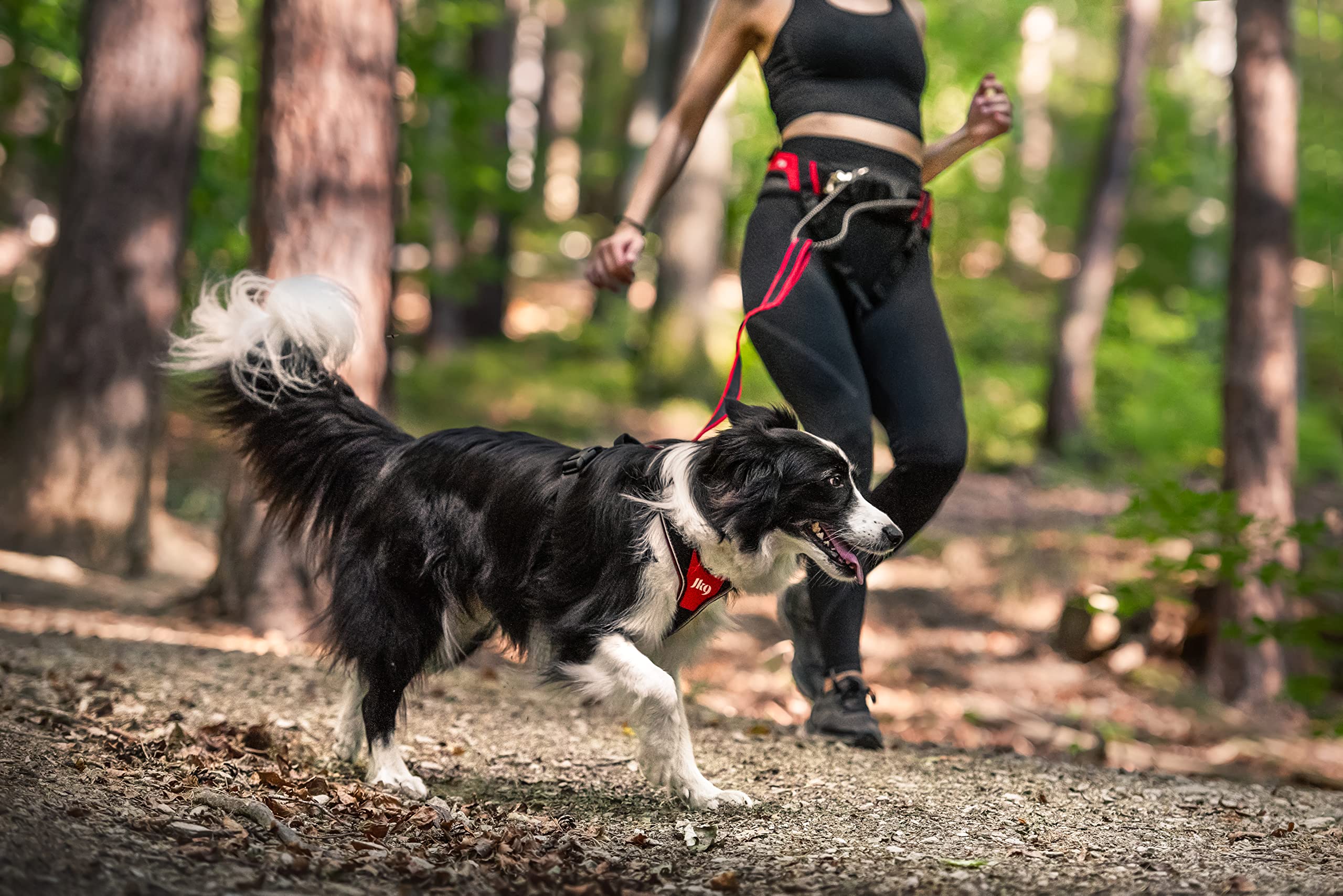 Julius-K9 JK9 Speed Belt, Rojo