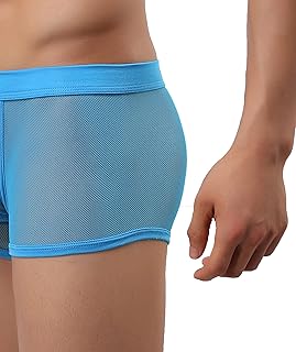 Mens Underwear Sexy Mesh Boxer Briefs,Cool See Through Soft Underpants - Buy now