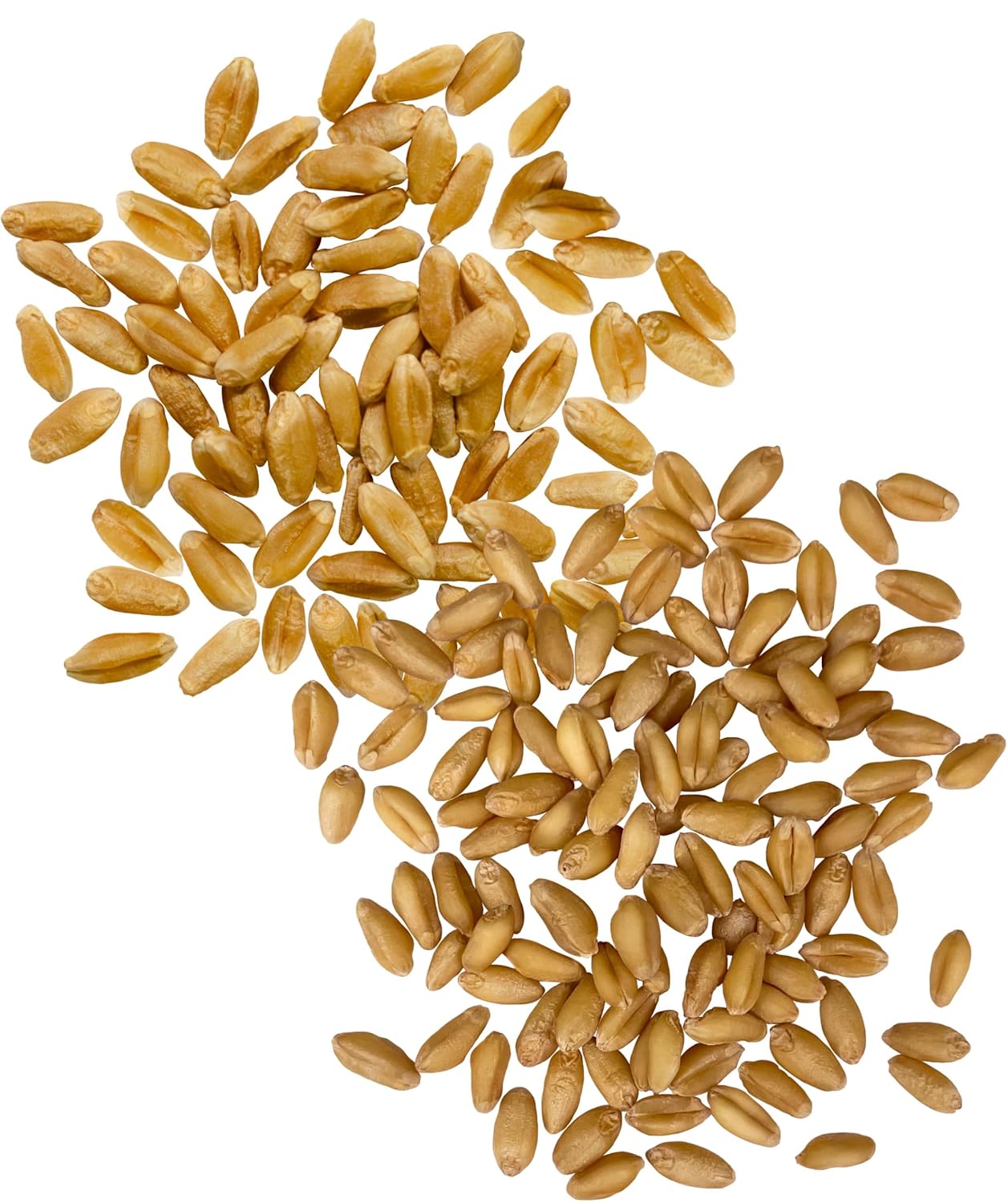 Palouse Brand Certified Glyphosate Residue Free Hard Red Spring and Soft White Wheat Berries | 2-5 LB Burlap Bags (10 LBS Total) | Washington Family Farmed | Non-GMO Project Verified |