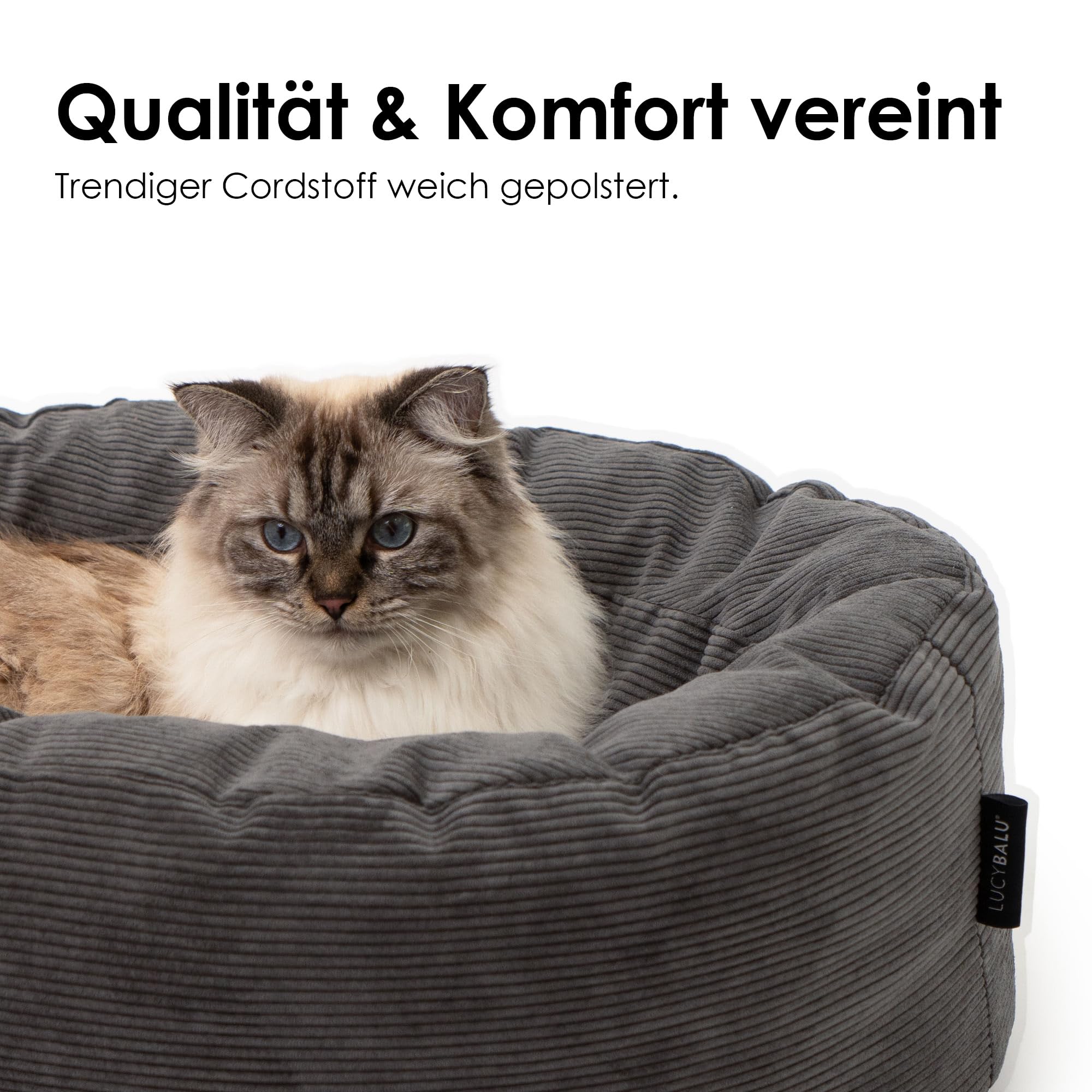 LucyBalu® Dinghy Katzenbett aus Cord im Schlauchboot-Design I waschbarer Schlafplatz mit abnehmbaren Bezügen I 60 × 45 × 20 cm I für kleine & große Katzen I Anthrazit