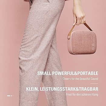 Amazon.com: Vifa Helsinki Portable Mini Speaker with Handbag