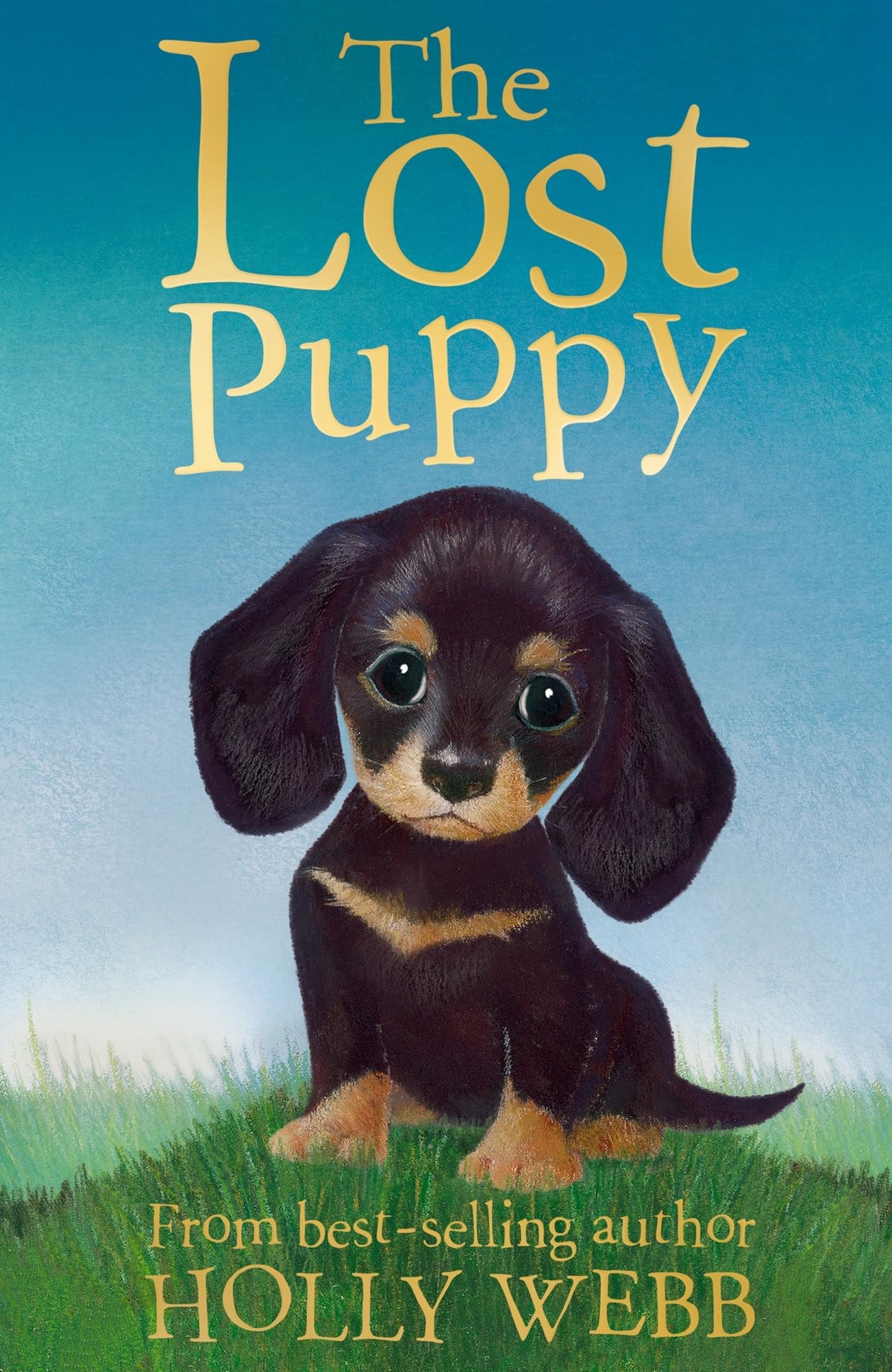 The Lost Puppy (Holly Webb Animal Stories)  Good Book Webb, Holly