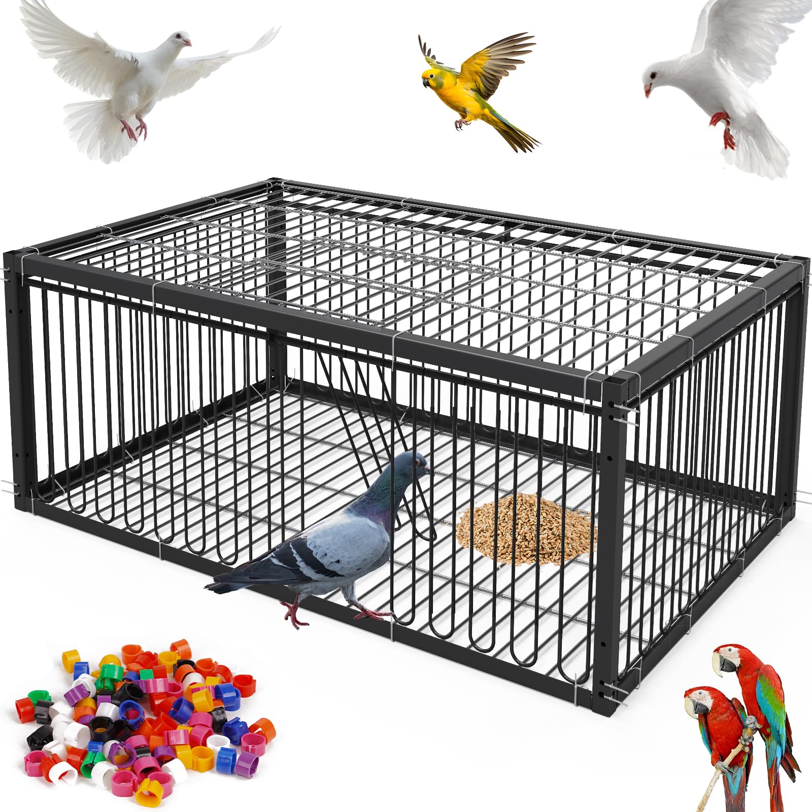 Jaula para palomas, 60 cm, para recoger codornices (negro)