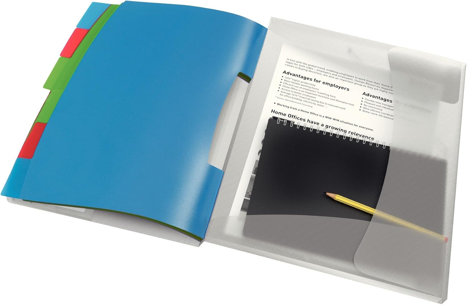 Esselte A4 Divider Book, Translucent, Integrated Index with 6 Compartments, Holds Up to 200 Sheets, Elastic Closure, White, VIVIDA Range, 624029
