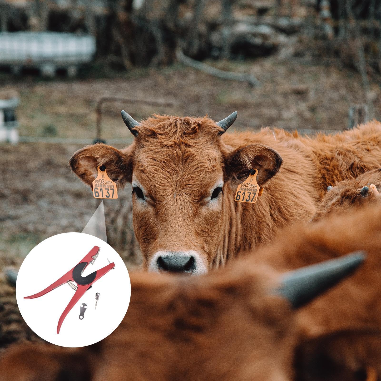 Pinza Per Orecchie | Strumenti Animalizzati Robusti,Pinza Per Posare Orecchini Per Bestiame | per Fattoria Ranch Fienile Pascolo Mucche Pecore Cane