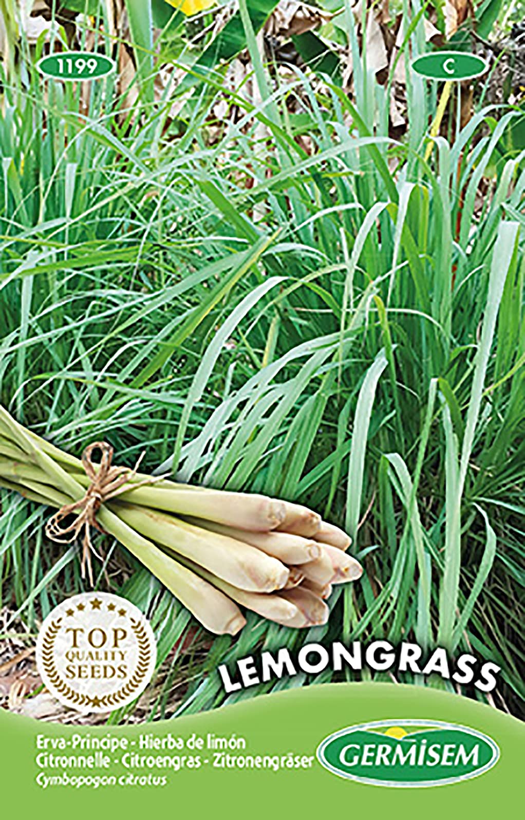 Lemongrass Seeds