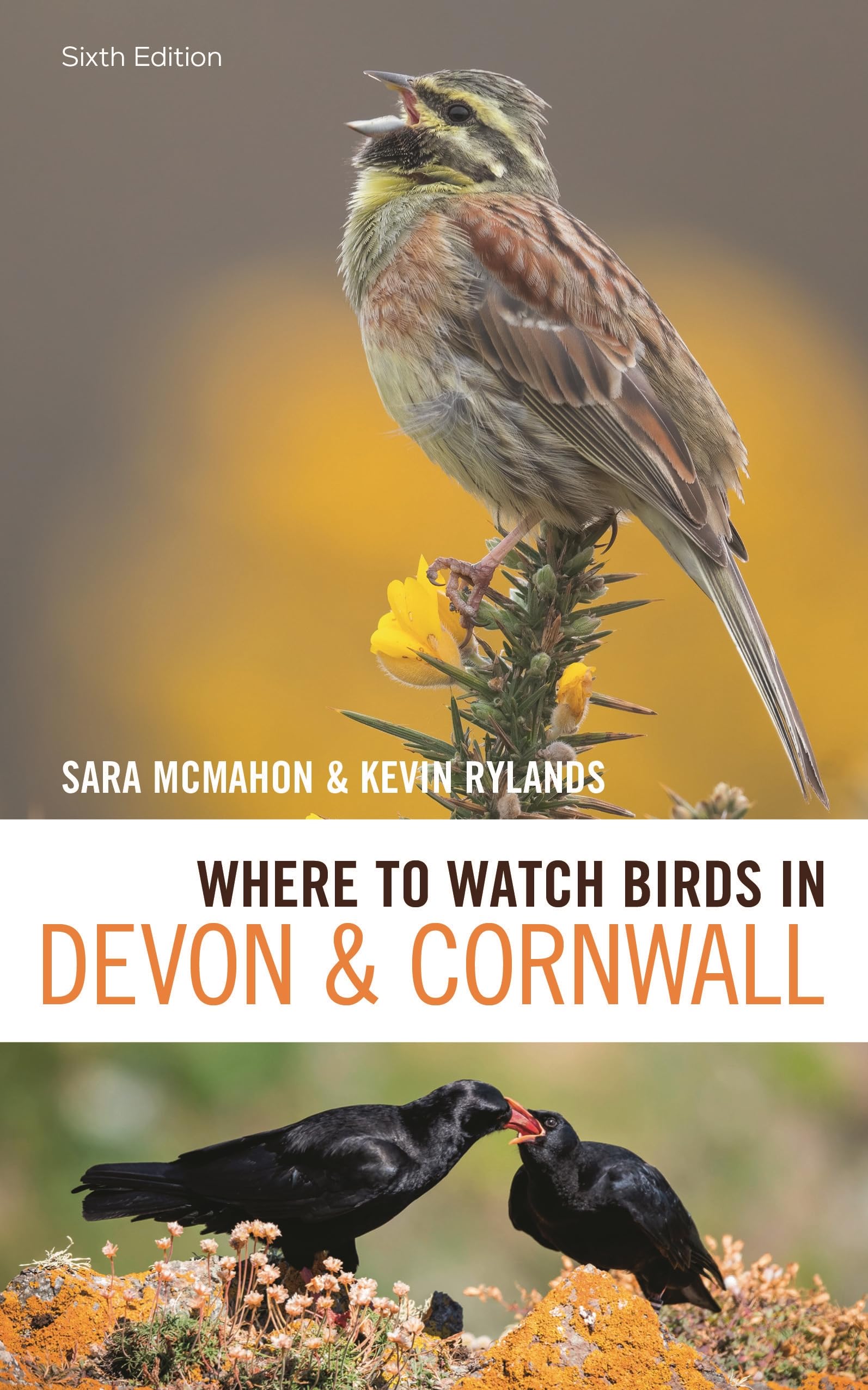 Where to Watch Birds in Devon and Cornwall by Sara McMahon, K... - 9781472988218