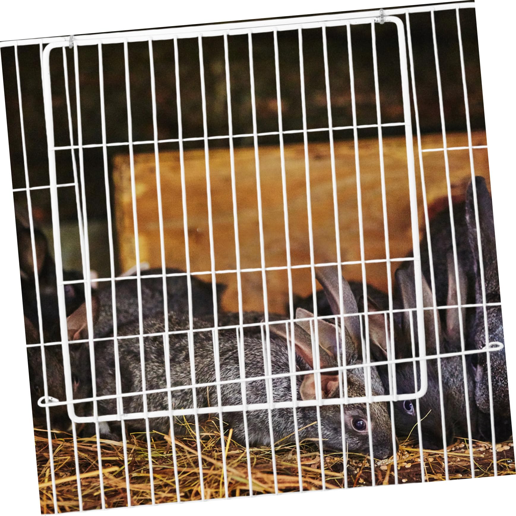 Levemolo Weiße Hundezauntür aus Eisendraht mit Einfacher Installation und Mehrdirektionaler Montage für Selbstgemacht Haustierkäfig und Kaninchen Spielgehege