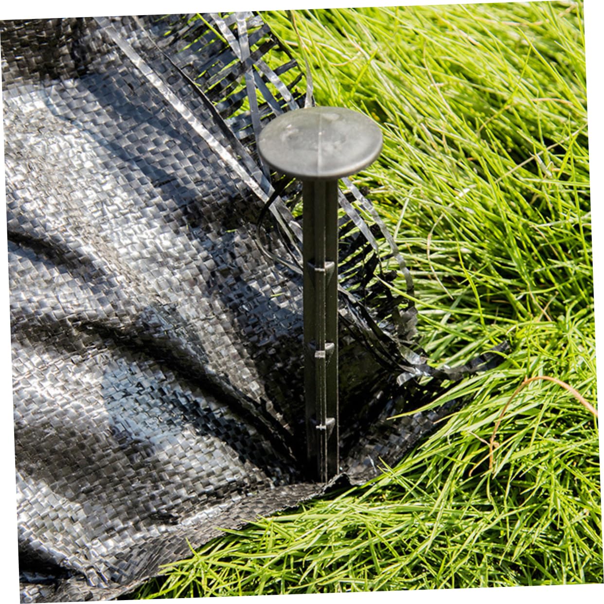 POPETPOP Lot de 100 Piquets De Jardin en Plastique Noir pour Pelouse Bordures De Jardin Piquets De Plantes pour Le Jardinage