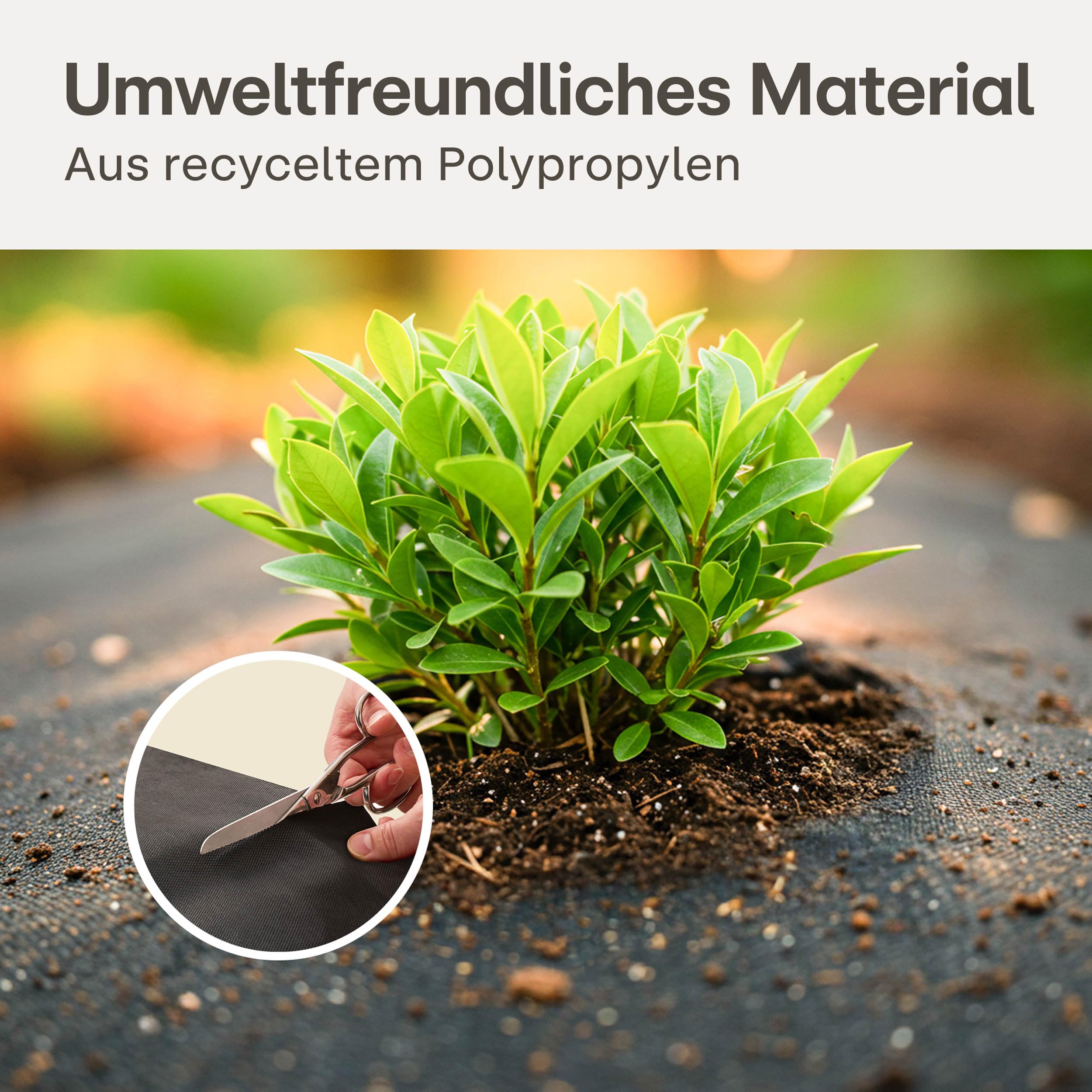 Praknu Gartenvlies 150g/m² mit 12 Erdankern – Extra Stark & Reißfest – 25m² Mulchvlies für dauerhaften Unkrautschutz – Für Wege, Kies & Steingärten