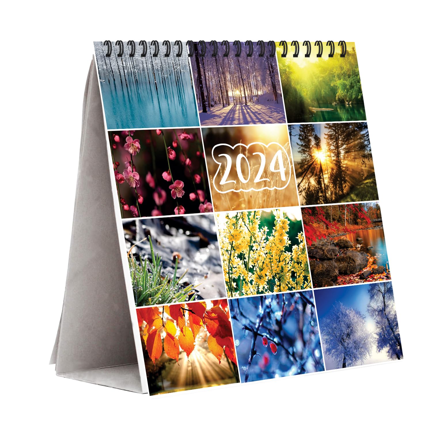 PAPER PLANE DESIGN 2025 Calendar Desk/Table Calendar (Season, 8 Inch x 8 Inch)
