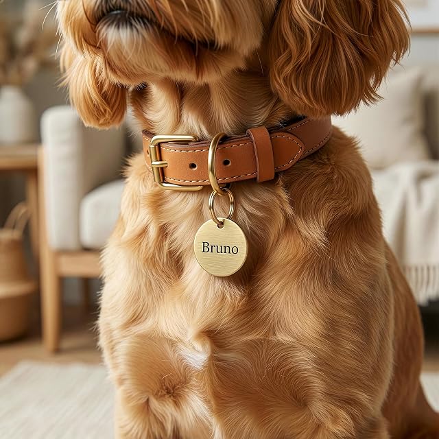 Foto 2 de 7 de The Stately Hound Etiqueta personalizable con nombre para perros y gatos en oro y plata (dorada