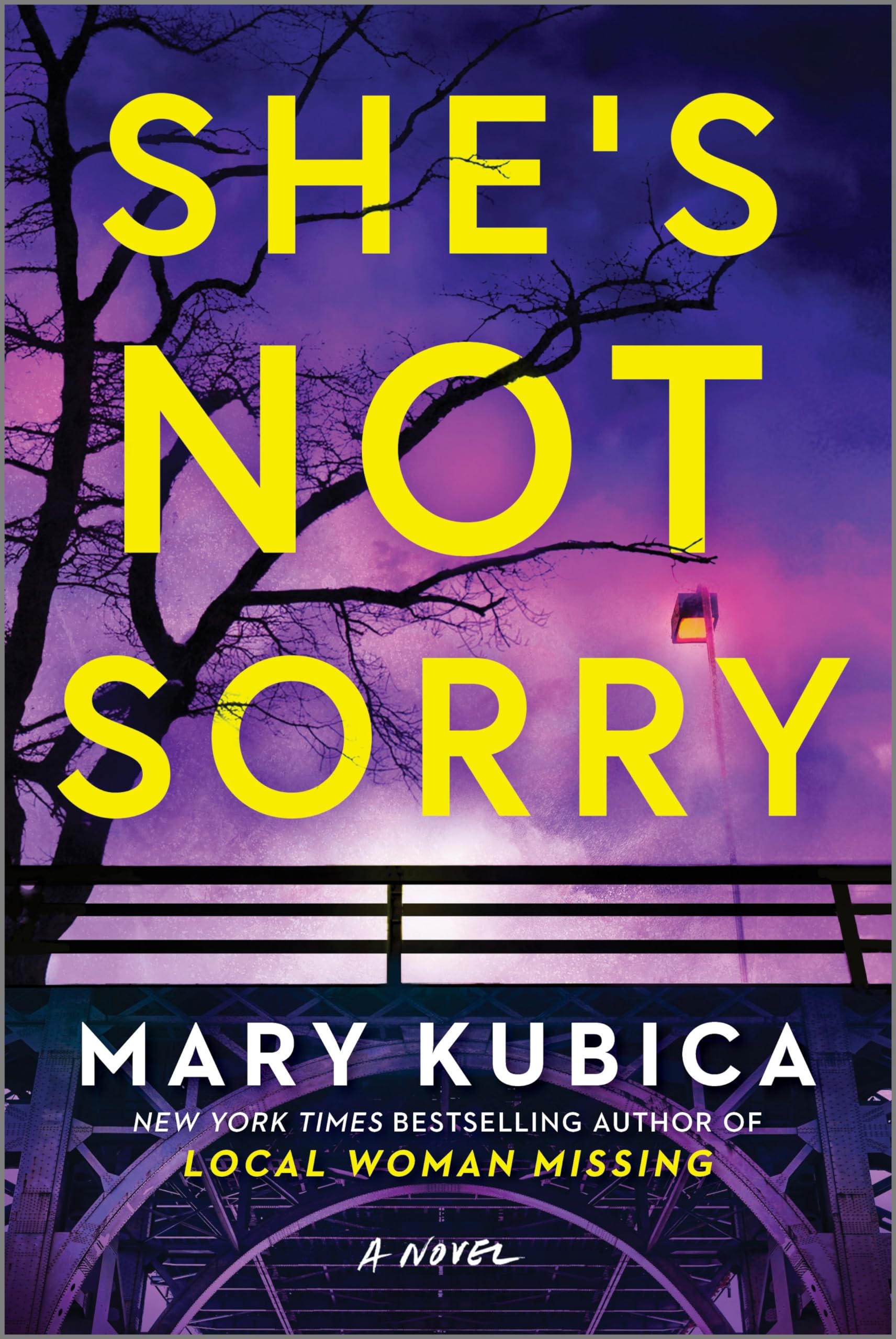 She's Not Sorry: A Psychological Thriller [Paperback] Kubica, Mary