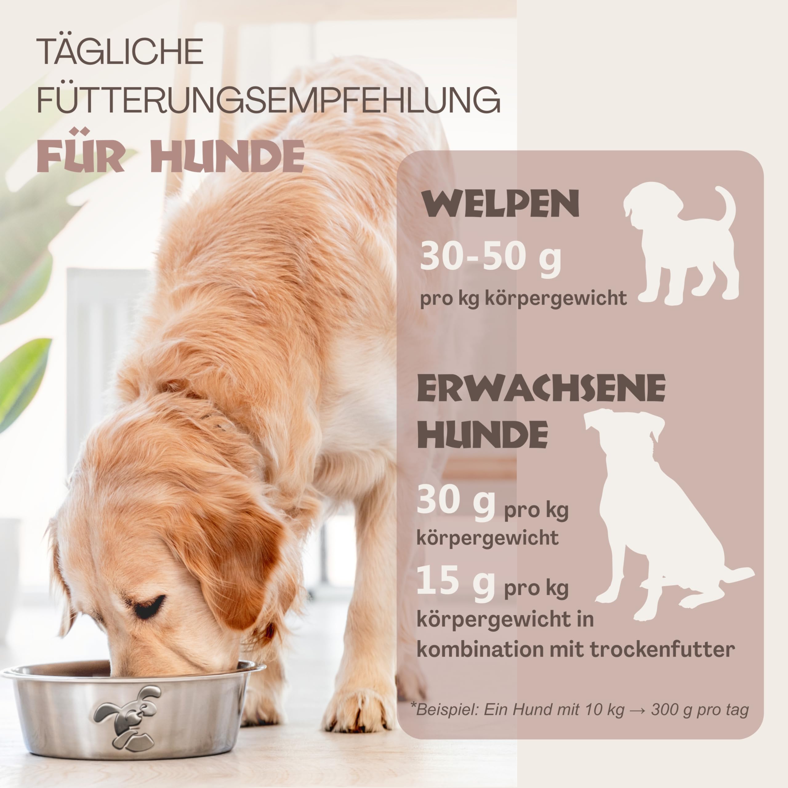 Mix Hundewurst schnittfest – 1 x Huhn, 1 x Ente, 1 x Lamm, 1 x Rind – Hunde-Rolle 4 x 800g (3,2kg) – getreidefreies Hundefutter mit hohem Fleischanteil – Nassfutter