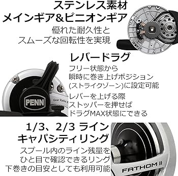 Amazon.co.jp: PENN (ペン) ファゾムII 2スピード 30LD2-L オフショア
