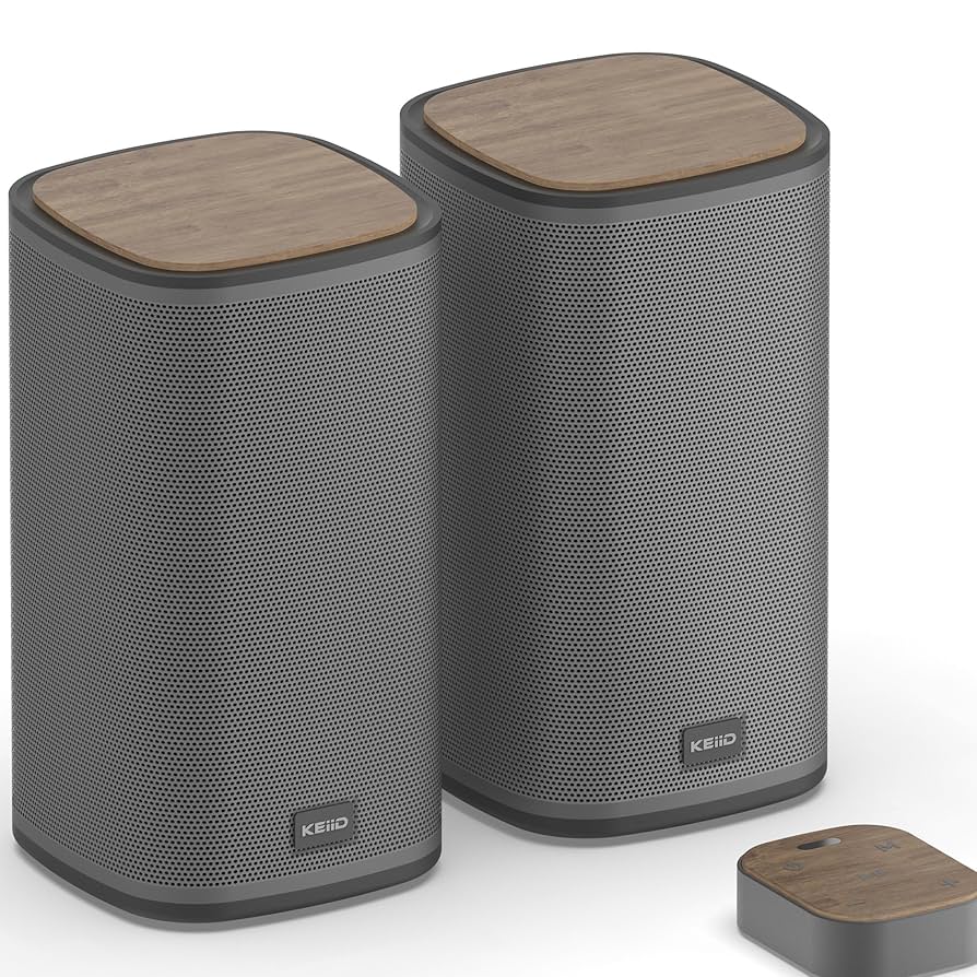 Amazon.com: KEiiD Bluetooth Computer Speakers with Wireless
