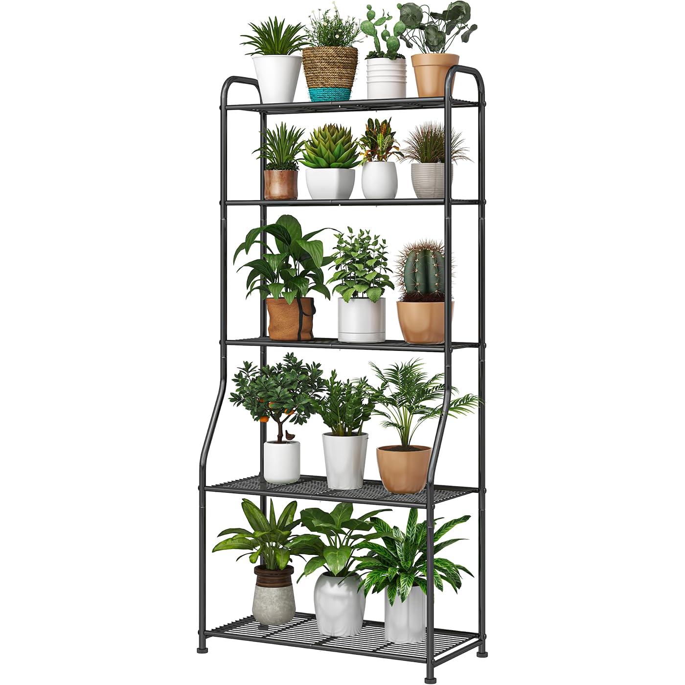 Gallery image 1