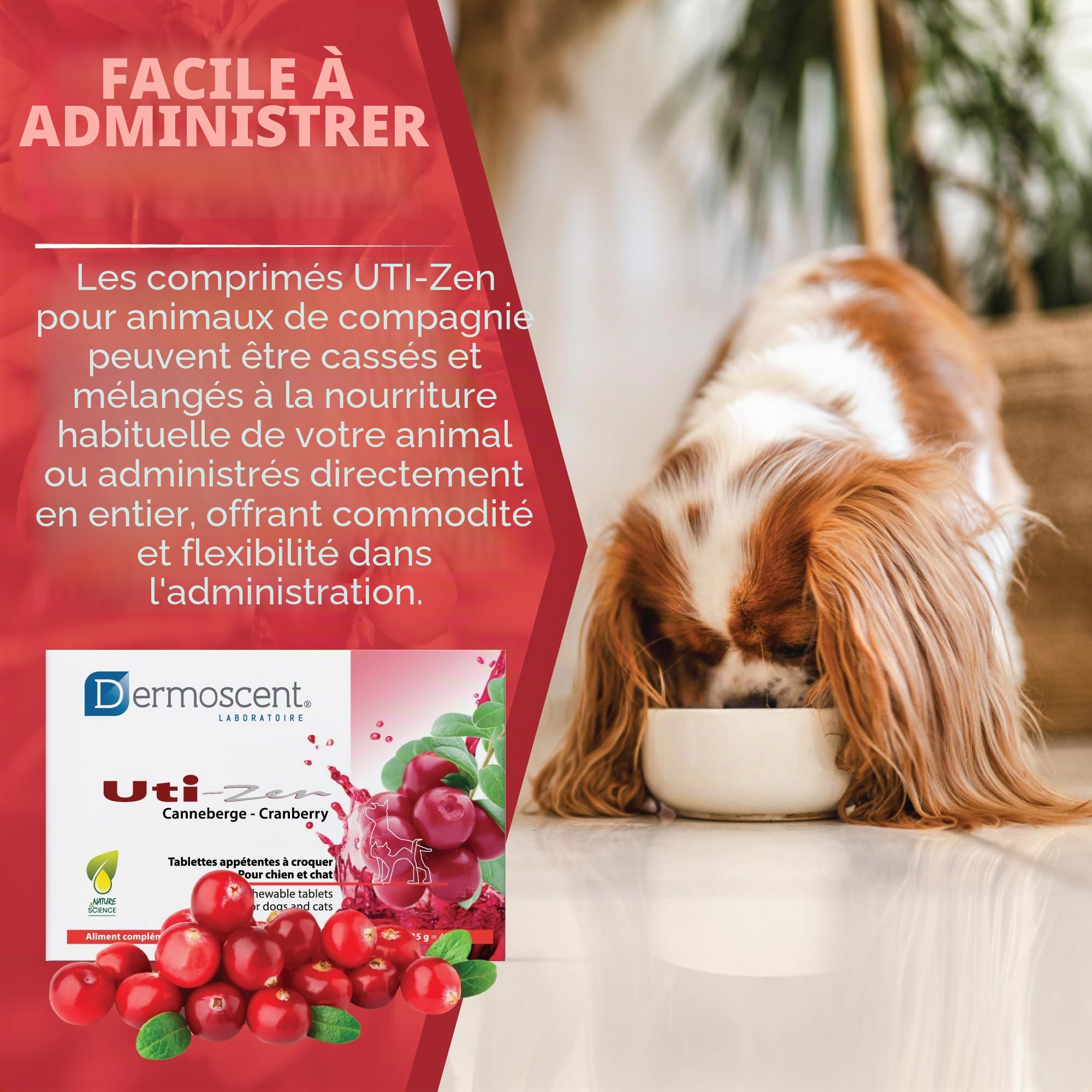 UTI-Zen Canneberge pour Chiens & Chats | Tablettes Appétentes à Croquer | Complément Alimentaire Naturel | 30 x 1,35 g | Dermoscent