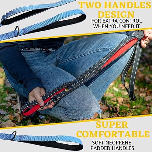 Miniatura 6 de Juego de correa y collar de doble asa azul para perros grandes