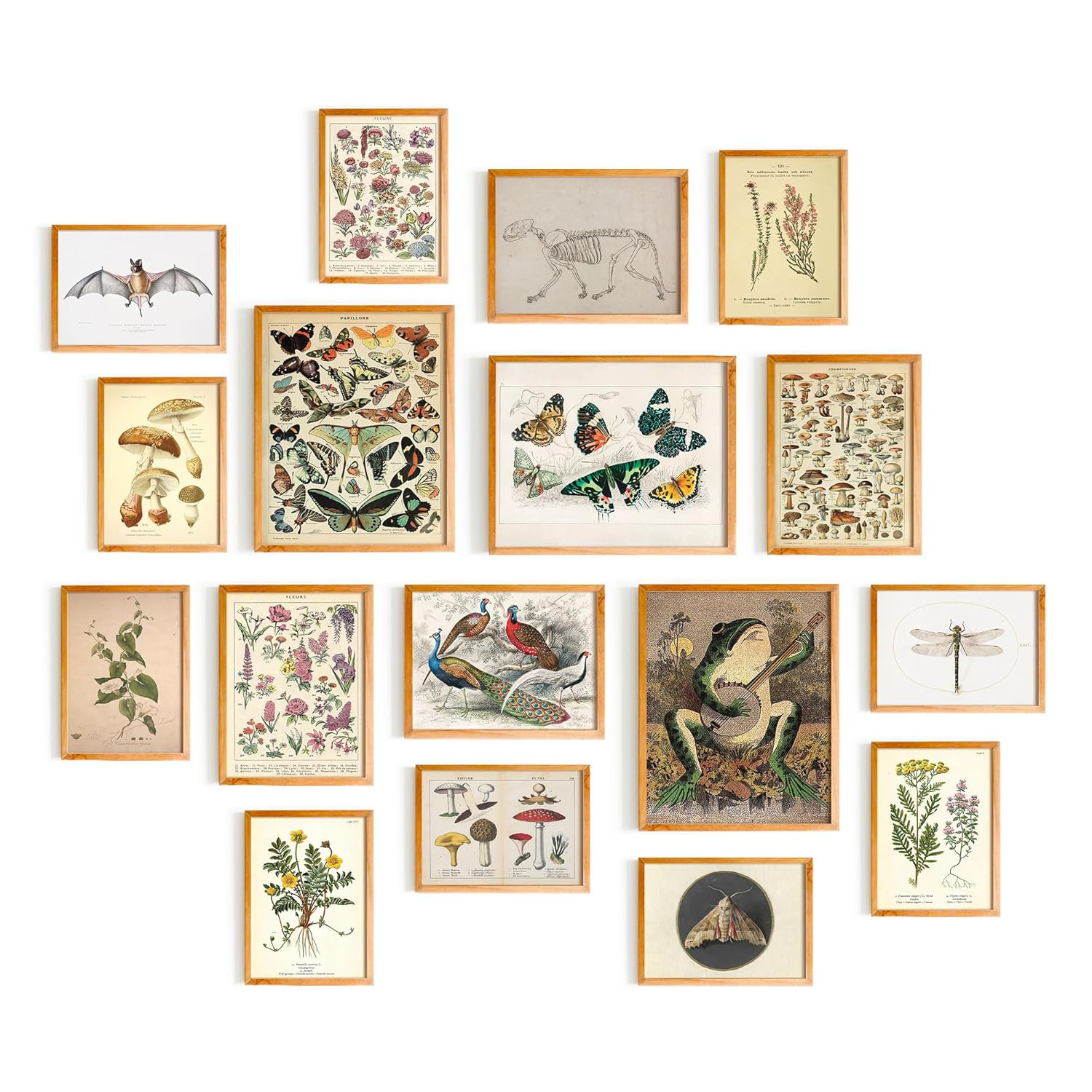 Cottagecore & Fairycore Wall Art Prints