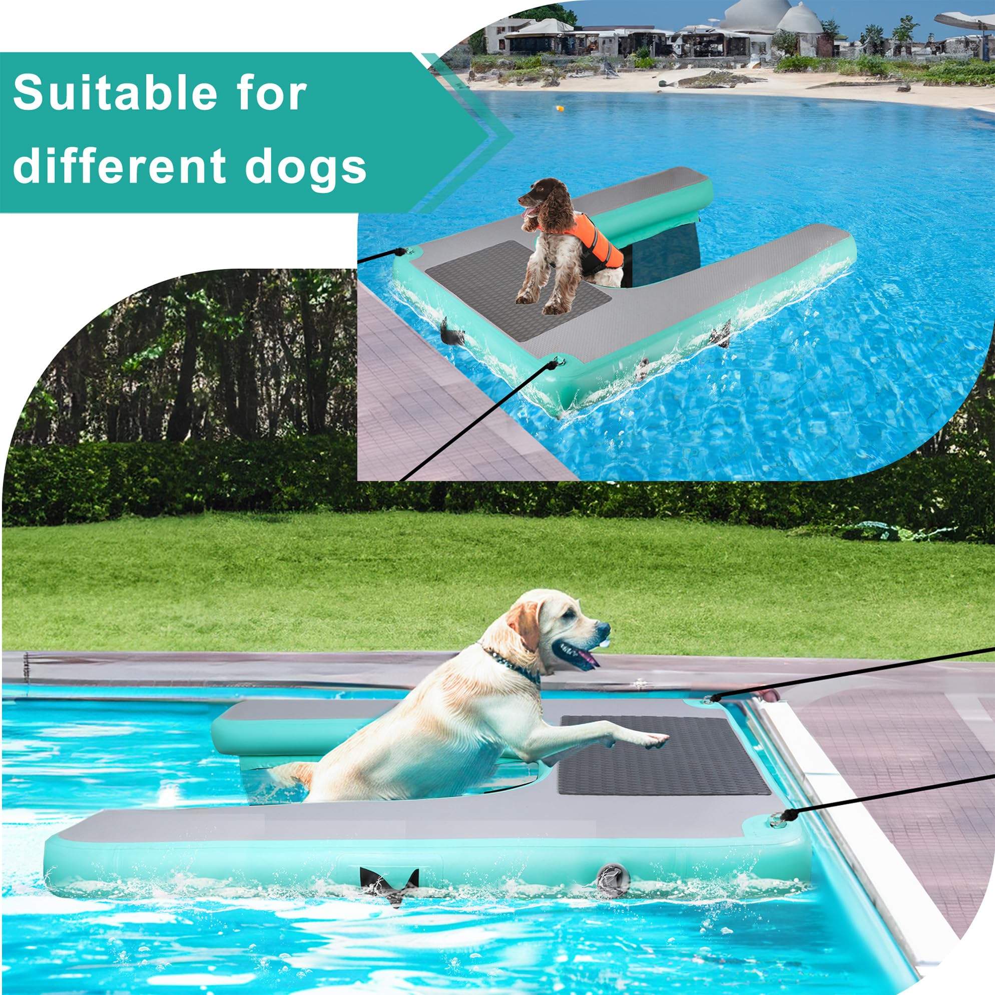 Rampa d'acqua per cani, extra larga, gonfiabile, per piscina, barche, banchine, laghi
