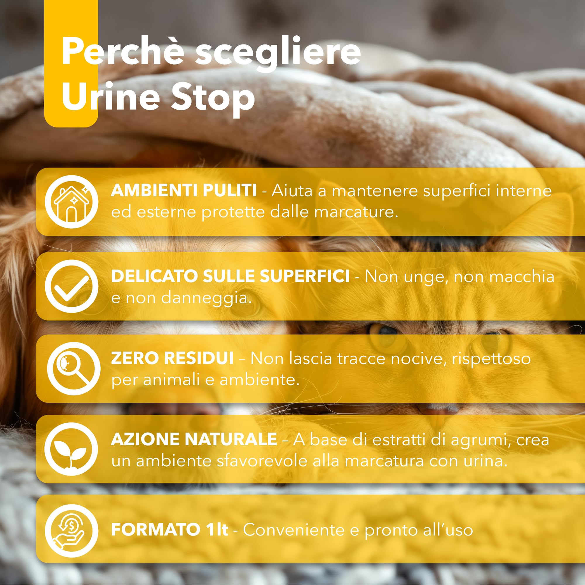 Bionee Urine Stop Spray Naturel pour Chiens et Chats 1L - Double action : Dishabituant aux Agrumes + Élimine les odeurs - Prêt à l'emploi, pas de taches, sûr pour les environnements intérieurs et