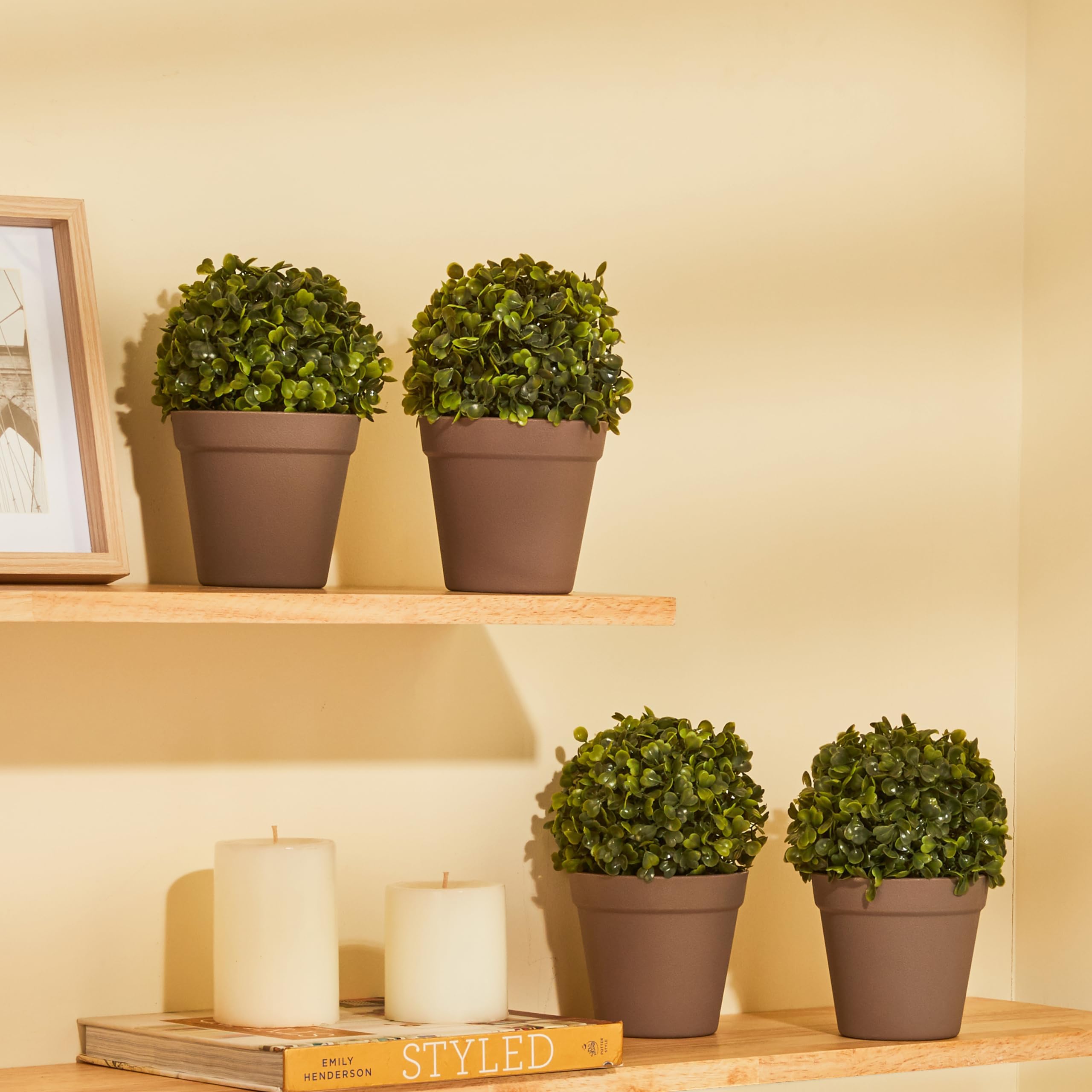 amazon basics Artificial Plants with Pot|Boxwood Grass| Realistic Appearance | Durable Plastic | No Maintenance | Home Décor | Dimensions: 10 cm X 18 cm (Pack of 4)