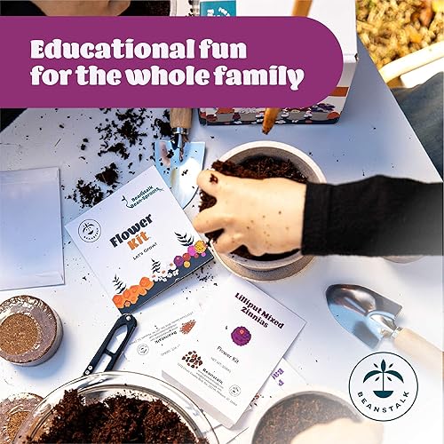 Miniatura 7 de Beanstalk - Kit de cultivo de flores – 5 tipos de semillas de flores sin OMG, botón de licenciatura, zinnia, caléndula, Virginia Stock, aliento de