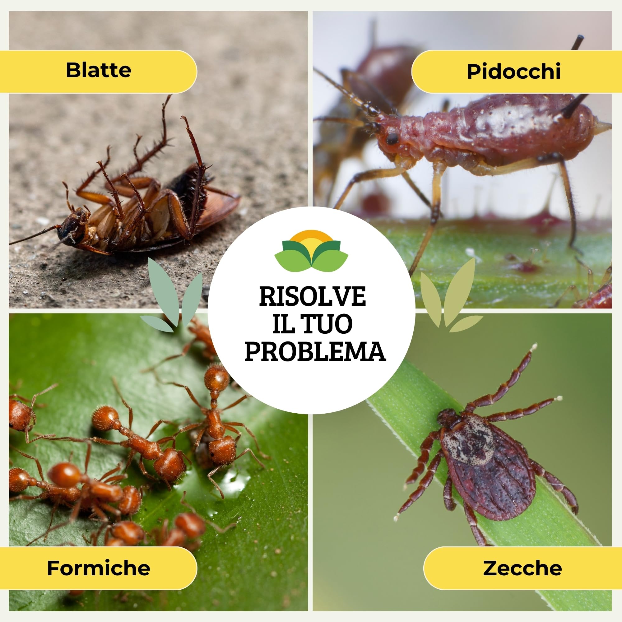 Albagarden - Insetticida Formiche 5 Kg - Veleno In Polvere Bagnabile per tutti gli Ambienti Esterni e Interni Anti Formiche Scarafaggi Grillotalpa Pulci Zecche, Orto Casa e Giardino