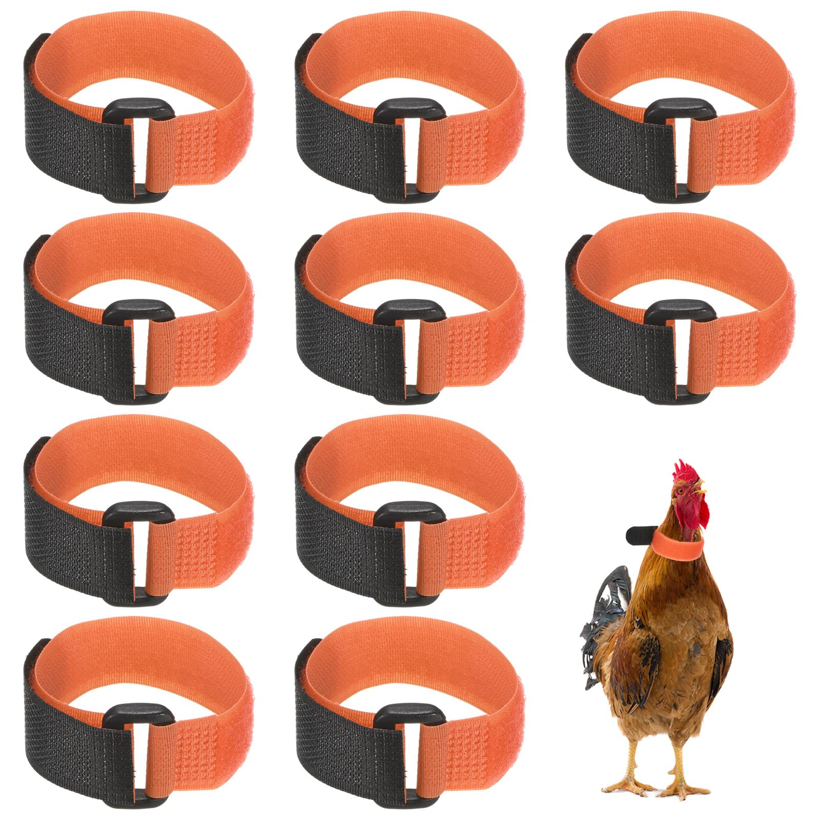 Collar de gallo antirruido M METERXITY para evitar quejas por el canto de aves de corral