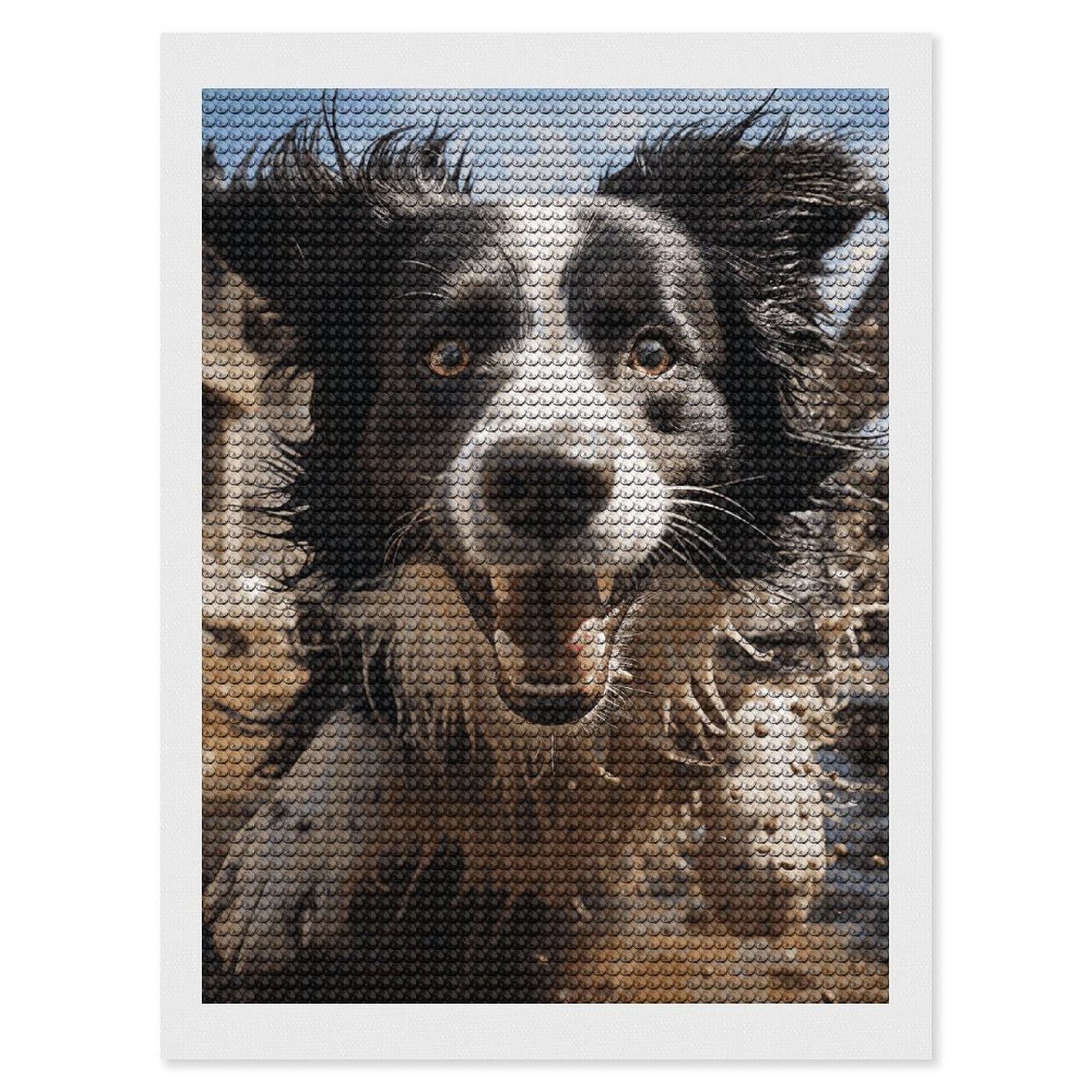 DWVTSLH Pastor Border Collie Diamond Painting Kits for Adults, Personalized Diamond Photo Art Full Drill, DIY 5D Diamond Art Painting Kits for Beginners, Home Wall Decor 12"x16"