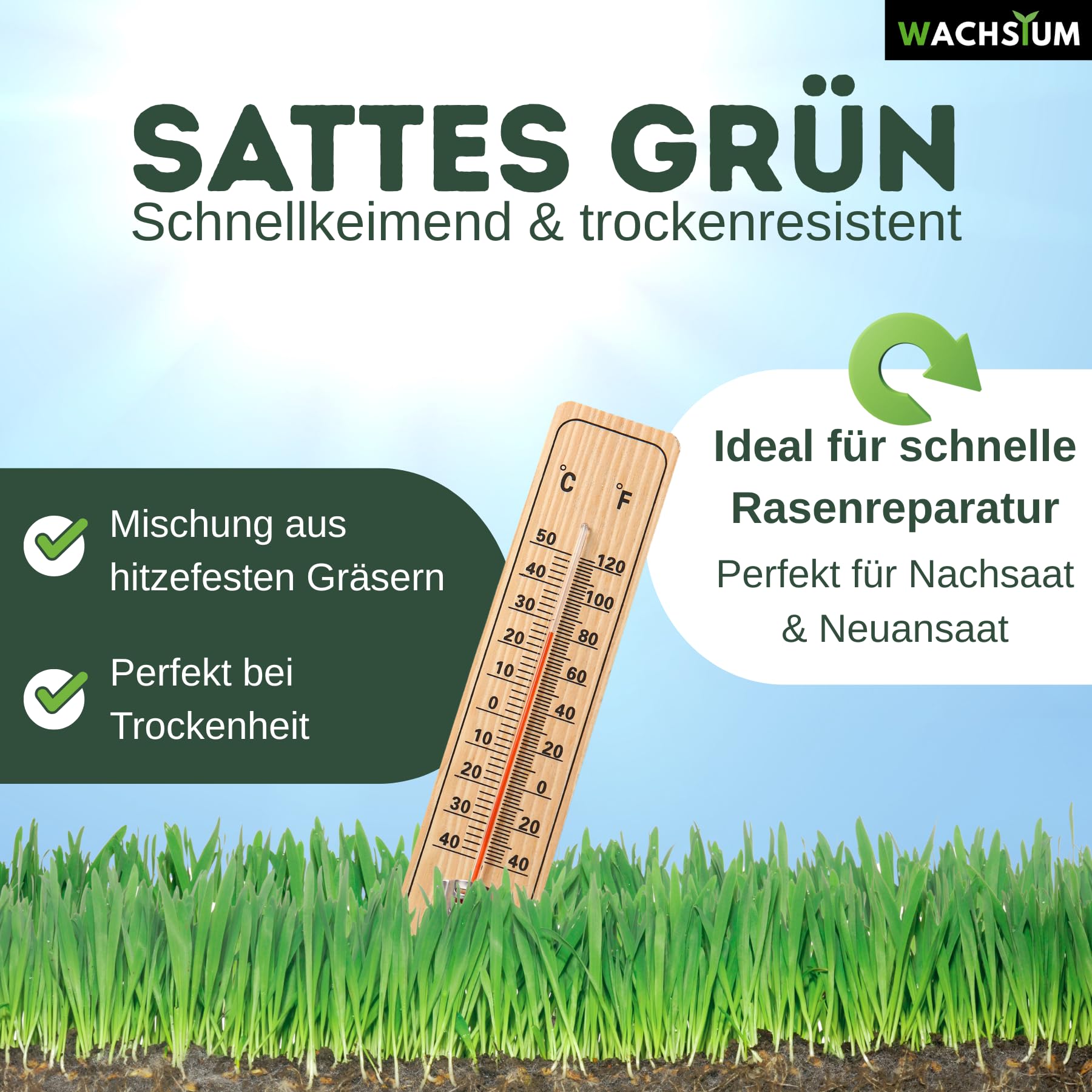 Rasensamen schnellkeimend 0,5kg 20qm – Frühjahr und Sommer Premium Grassamen Nachsaat, dichter strapazierfähiger Rasen, Mähroboter geeignet – kräftiges Wachstum, RSM Qualität,