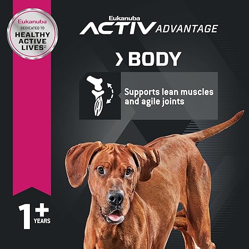 Miniatura 4 de Eukanuba Adult, alimento seco para perro adulto, Negro