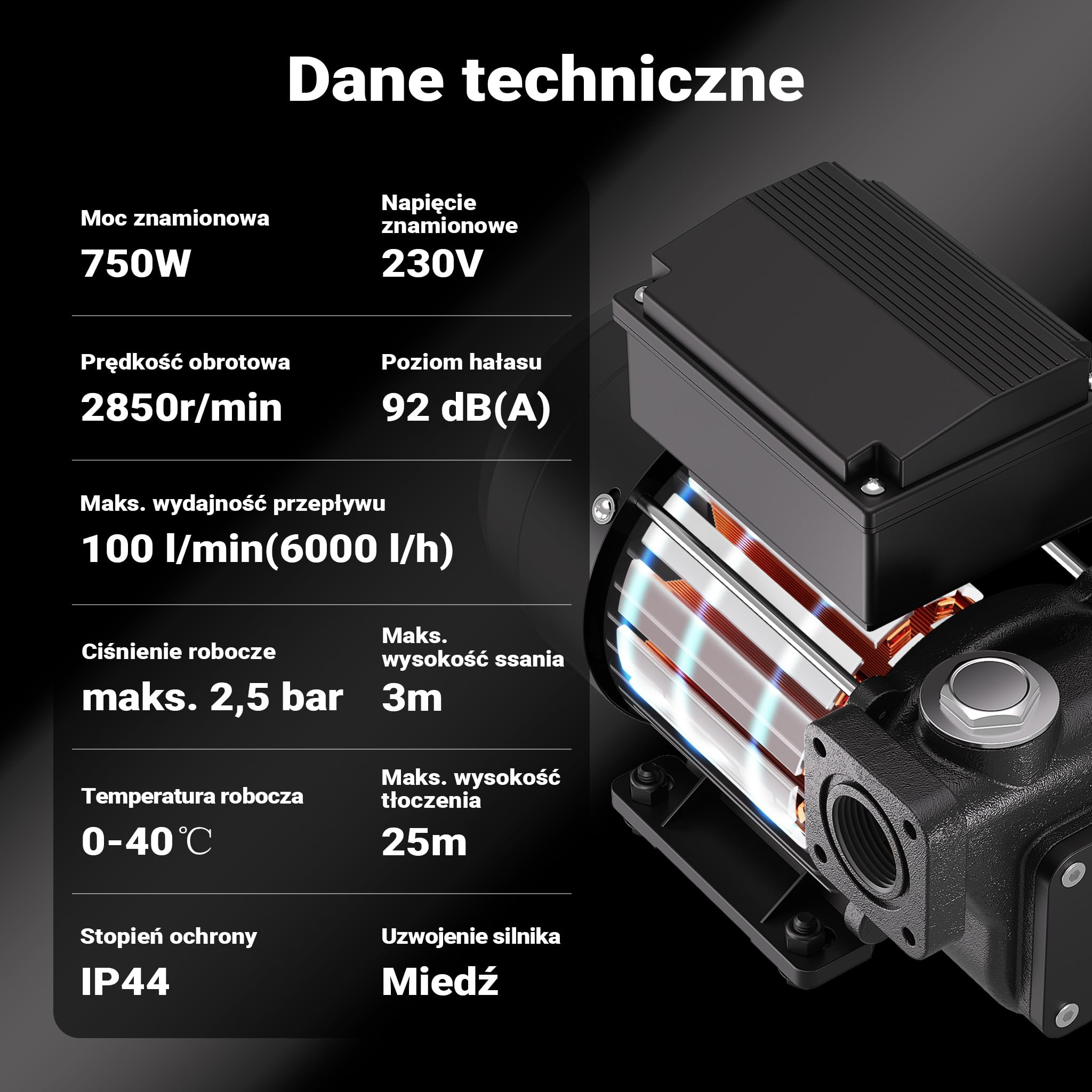 Wiltec Pompa do oleju napędowego, opałowego i biodiesla 750 W 100 l/min, wysokość ssania 3 m tłoczenie 25 m, samozasysająca