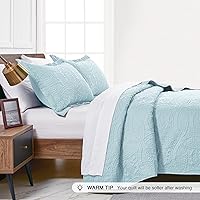 Vista 4 de Love's cabin - Juego de edredón tamaño California King, color azul spa, verano, poliéster ligero, estilo moderno de moneda, para todas