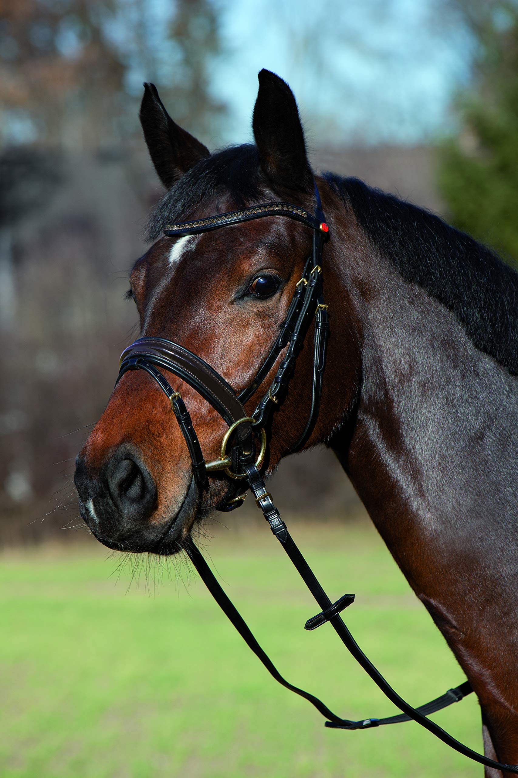 KIEFFER Brida Comfort Paris