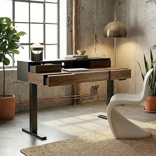 ErGear Electric Standing Desk with 5 Solid Wood Drawers, 48