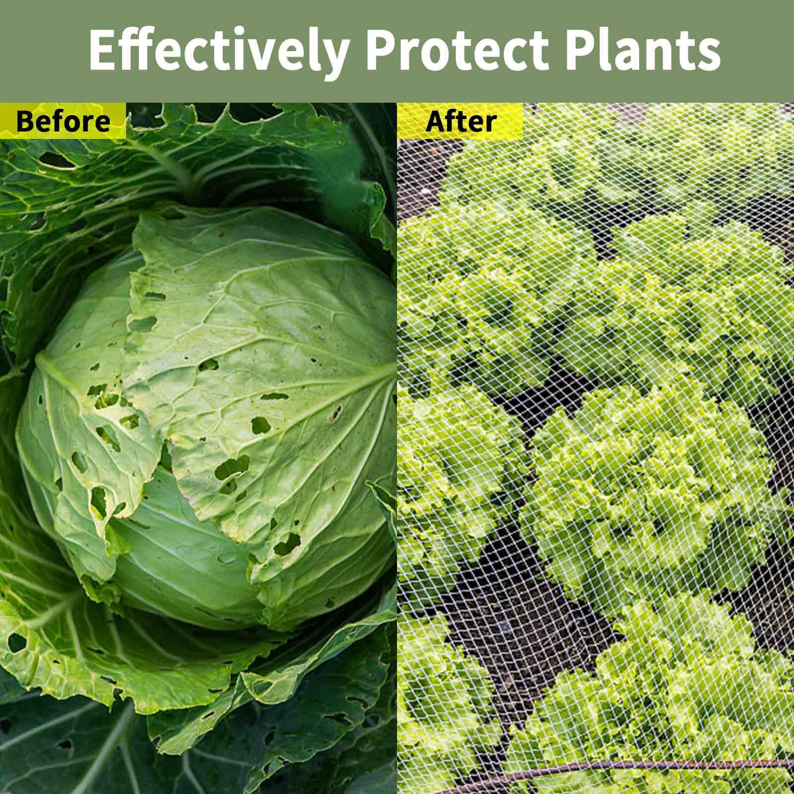 Filet Protection Jardin 3x6m Anti Oiseaux Potager Fraisiers Filet Anti-insectes Potager 3x6m - Protection Jardin Fraisiers - Polyéthylène Blanc Filet Réutilisable Légumes