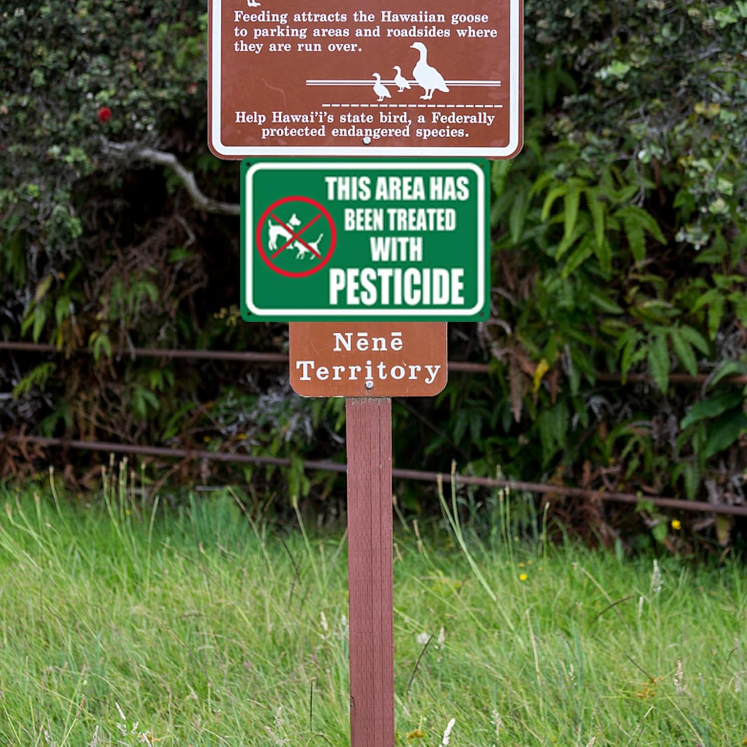 TISOSO This Area Has Been Treated with Please Keep All Pets Off The Grass Sign Stop Dogs from Pooping Peeing On Lawn, Stay Dogs Off Lawn Sign 8X12Inch 2pcs - Image 4